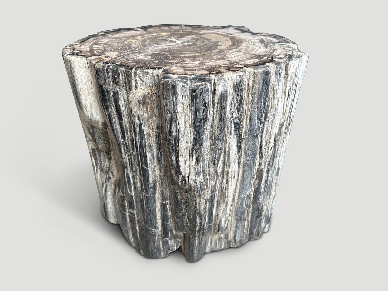 Andrianna Shamaris table d'appoint en bois pétrifié de haute qualité Excellent état - En vente à New York, NY