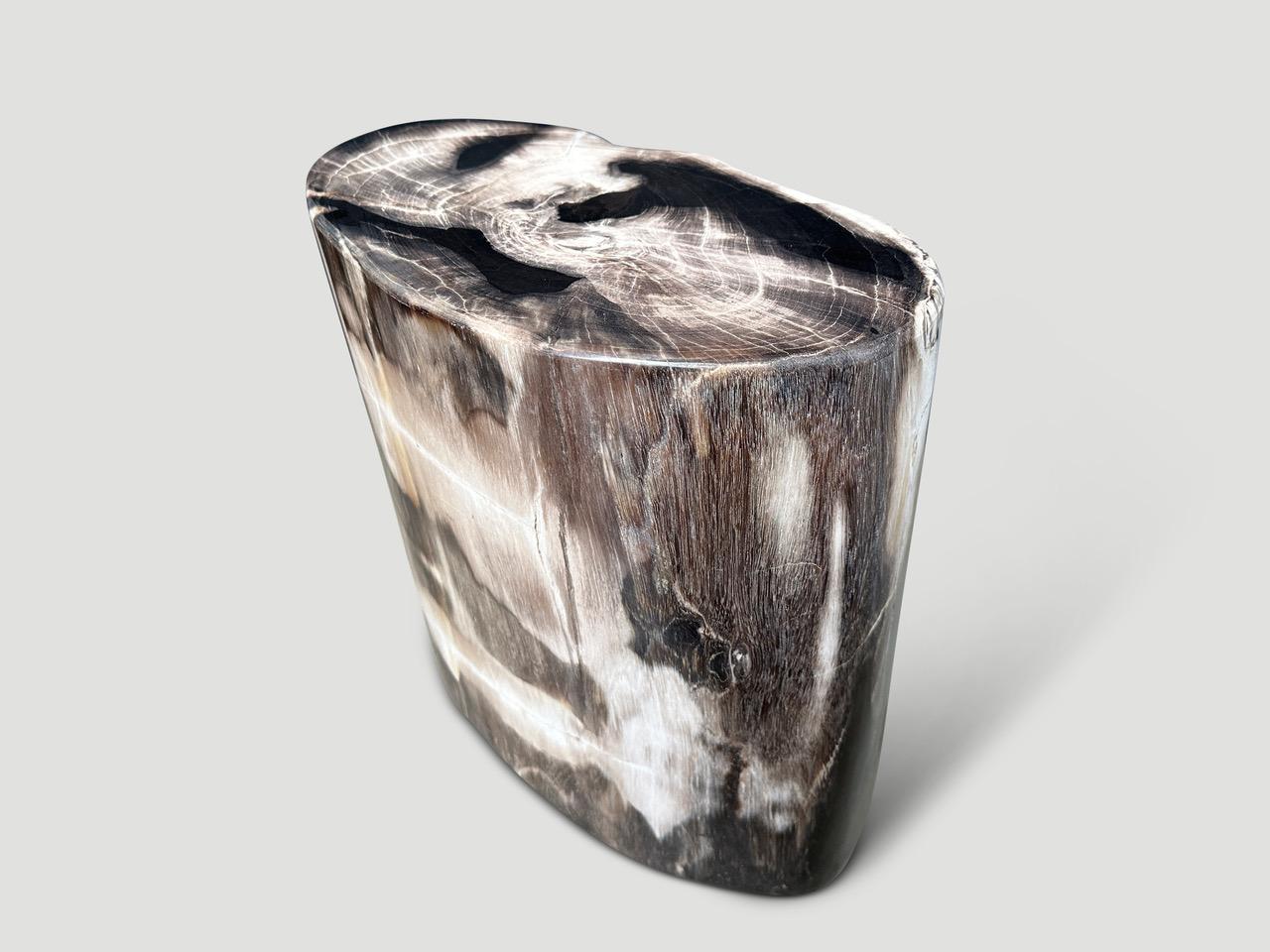 Andrianna Shamaris High Quality Petrified Wood Side Table In Excellent Condition In New York, NY