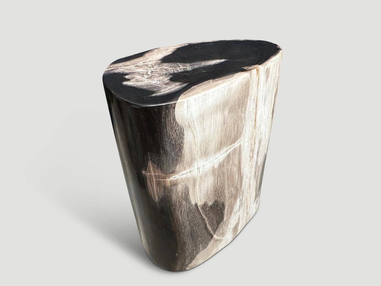 Andrianna Shamaris High Quality Petrified Wood Side Table In Excellent Condition In New York, NY