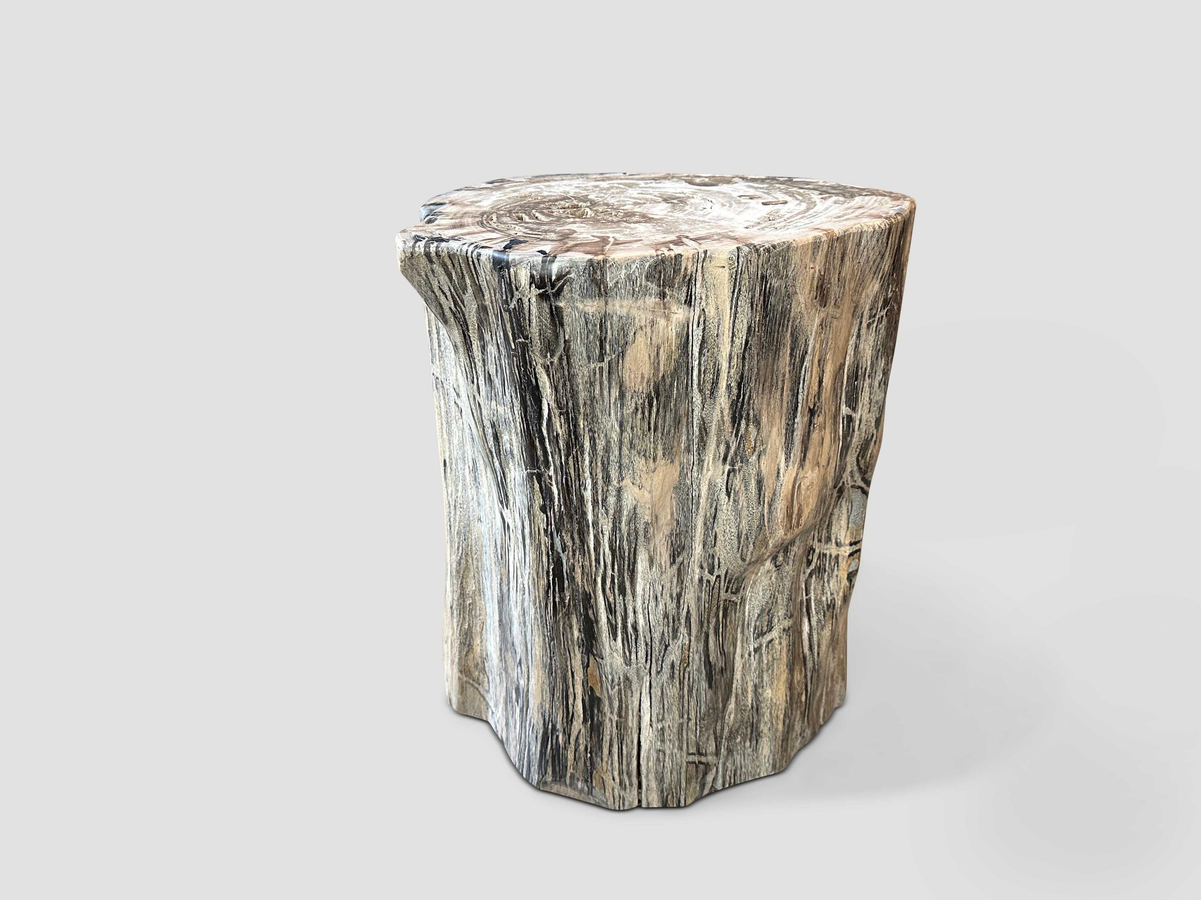Andrianna Shamaris High Quality Petrified Wood Side Table In Excellent Condition In New York, NY