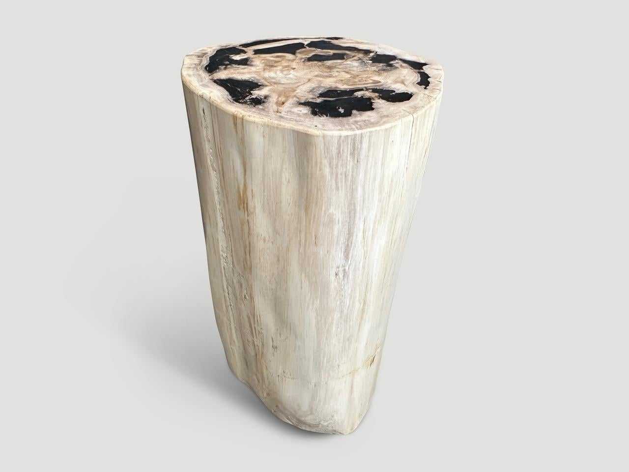 Andrianna Shamaris High Quality Petrified Wood Side Table In Excellent Condition In New York, NY