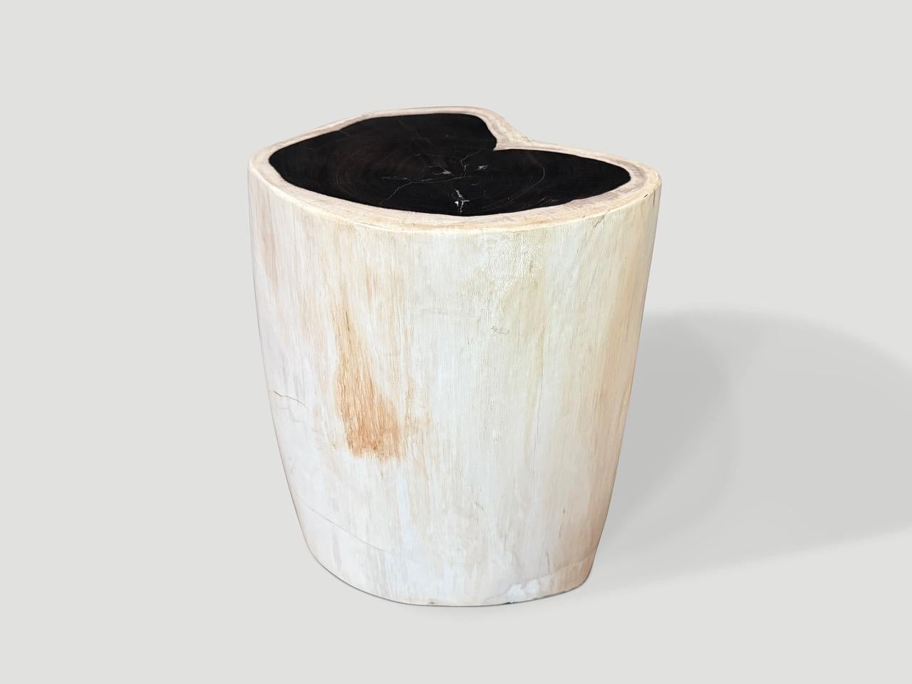 Andrianna Shamaris High Quality Petrified Wood Side Table In Excellent Condition For Sale In New York, NY