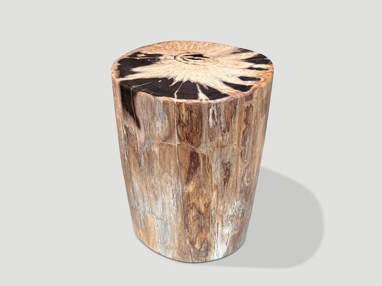 Andrianna Shamaris High Quality Petrified Wood Side Table In Excellent Condition For Sale In New York, NY
