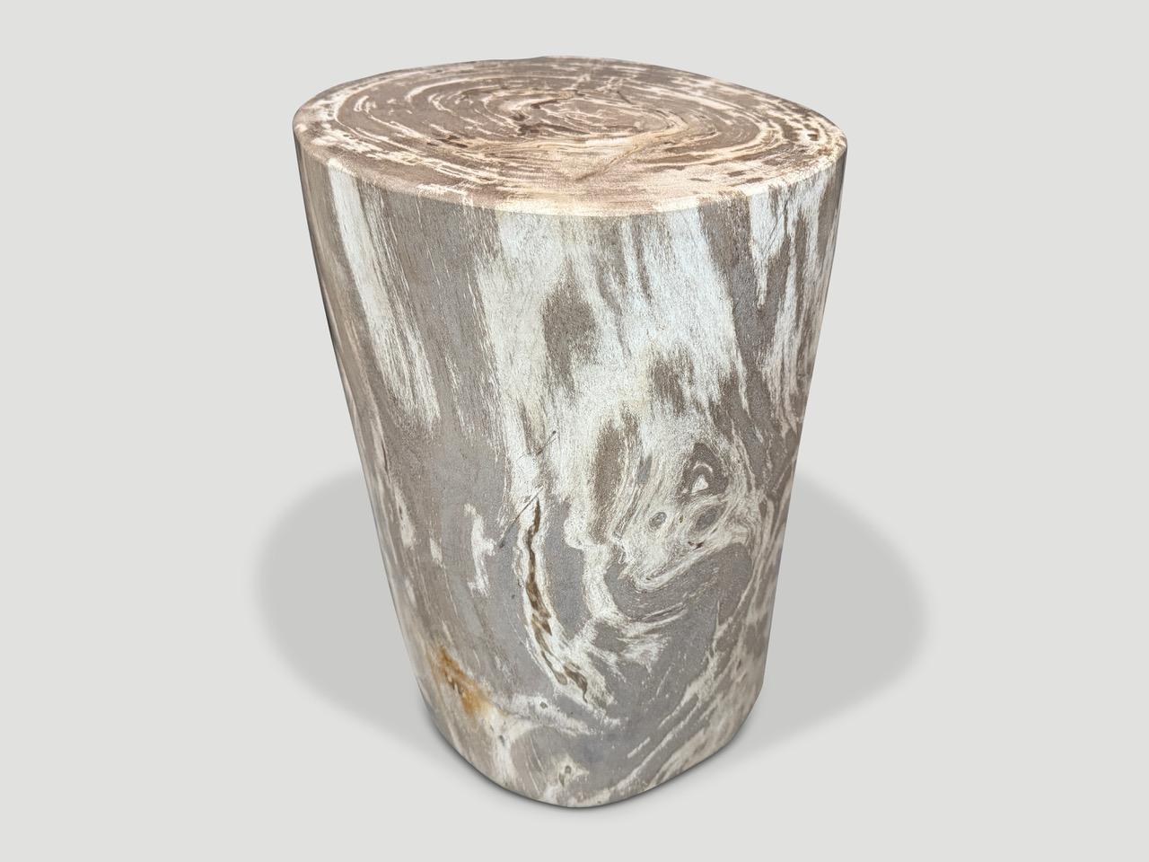 Andrianna Shamaris table d'appoint en bois pétrifié de haute qualité Excellent état - En vente à New York, NY