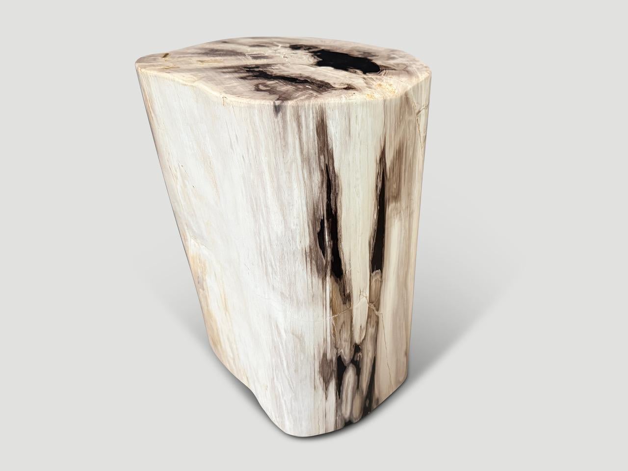 Andrianna Shamaris table d'appoint en bois pétrifié de haute qualité Excellent état - En vente à New York, NY