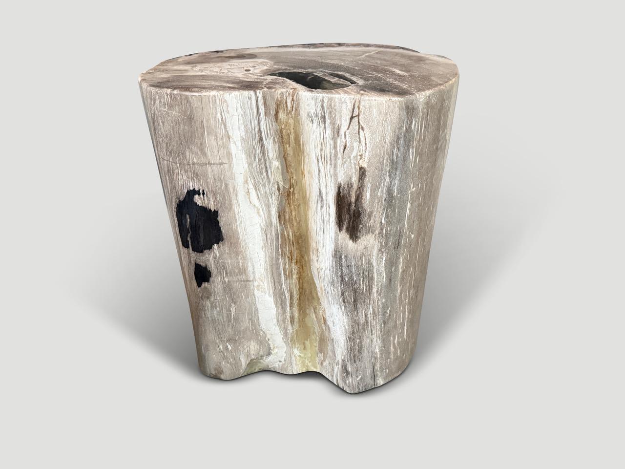 Andrianna Shamaris High Quality Petrified Wood Side Table In Excellent Condition For Sale In New York, NY