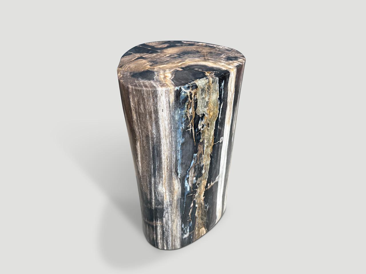 Andrianna Shamaris High Quality Petrified Wood Side Table In Excellent Condition For Sale In New York, NY