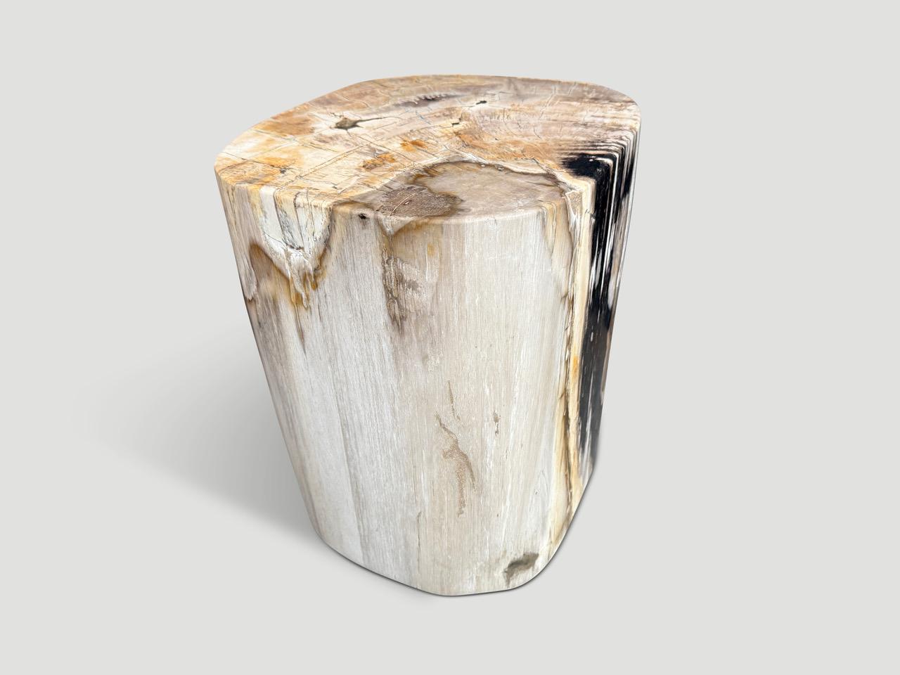 Andrianna Shamaris High Quality Petrified Wood Side Table In Excellent Condition For Sale In New York, NY