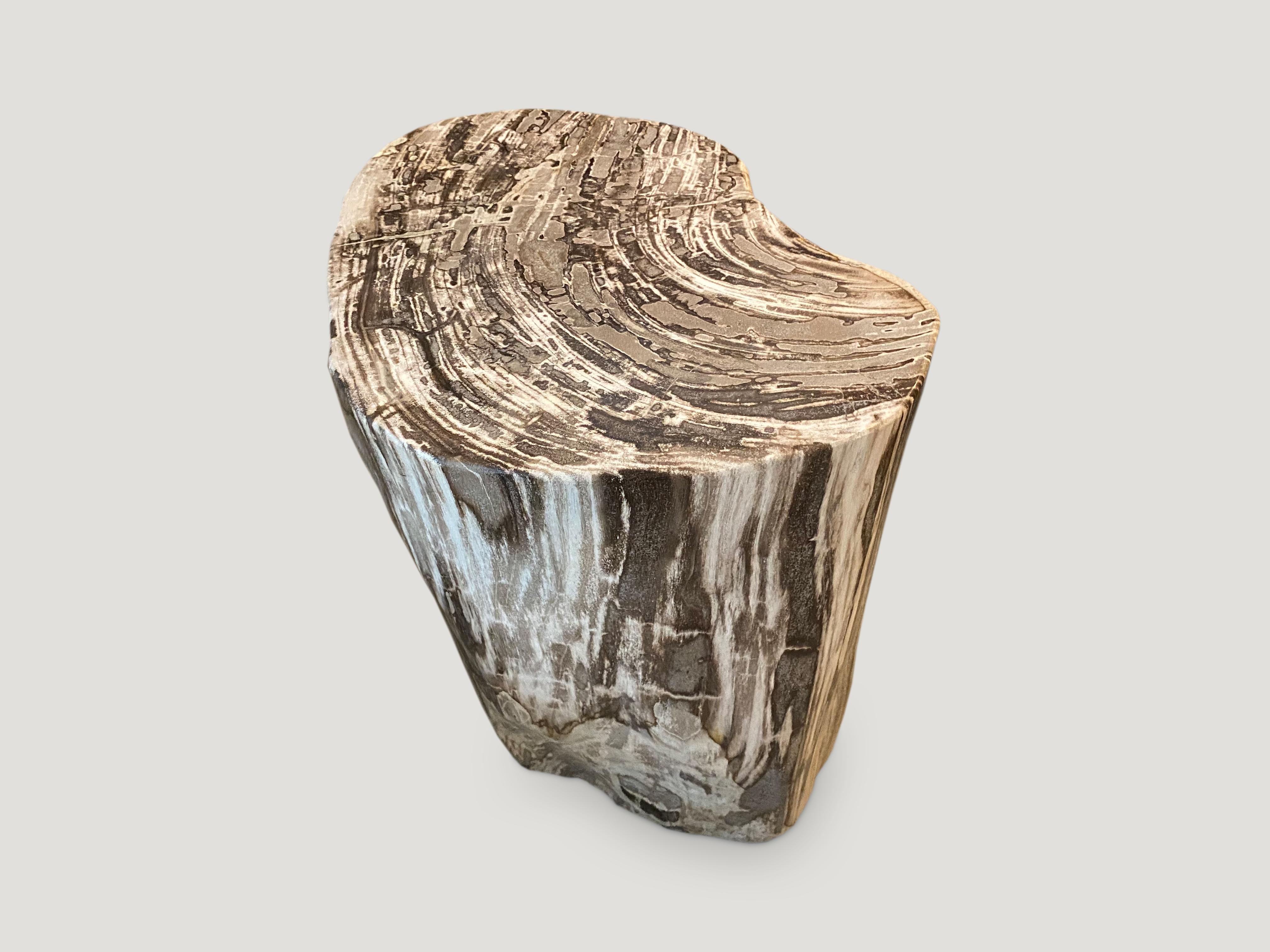 18th Century and Earlier Andrianna Shamaris High Quality Petrified Wood Side Table