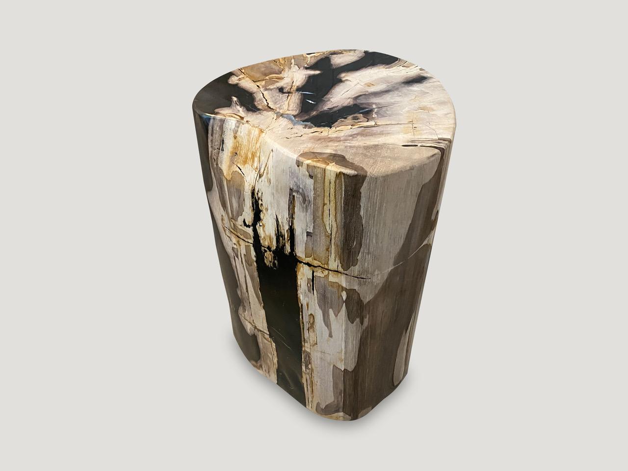 18th Century and Earlier Andrianna Shamaris High Quality Petrified Wood Side Table