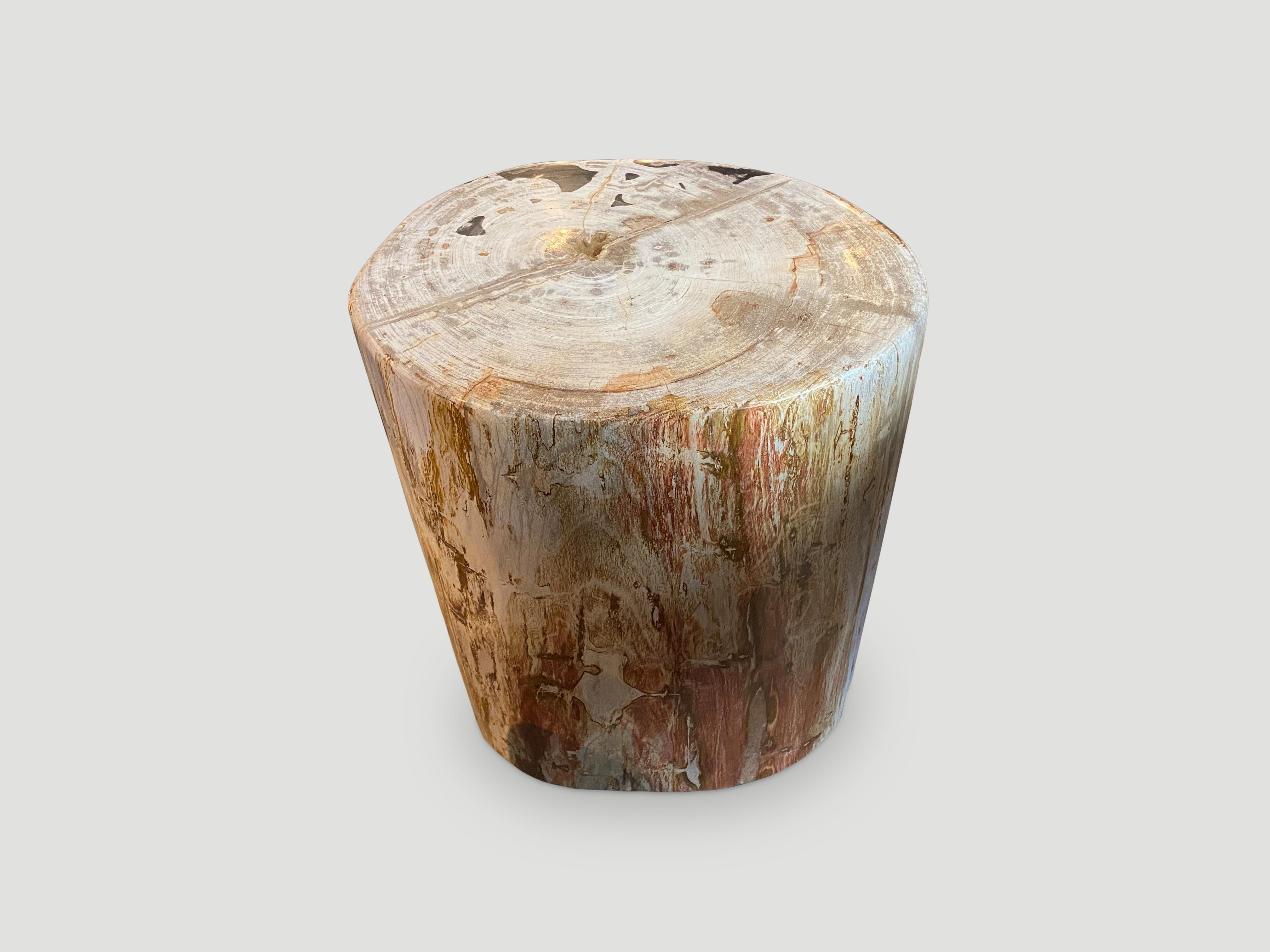 Contemporary Andrianna Shamaris High Quality Petrified Wood Side Table For Sale