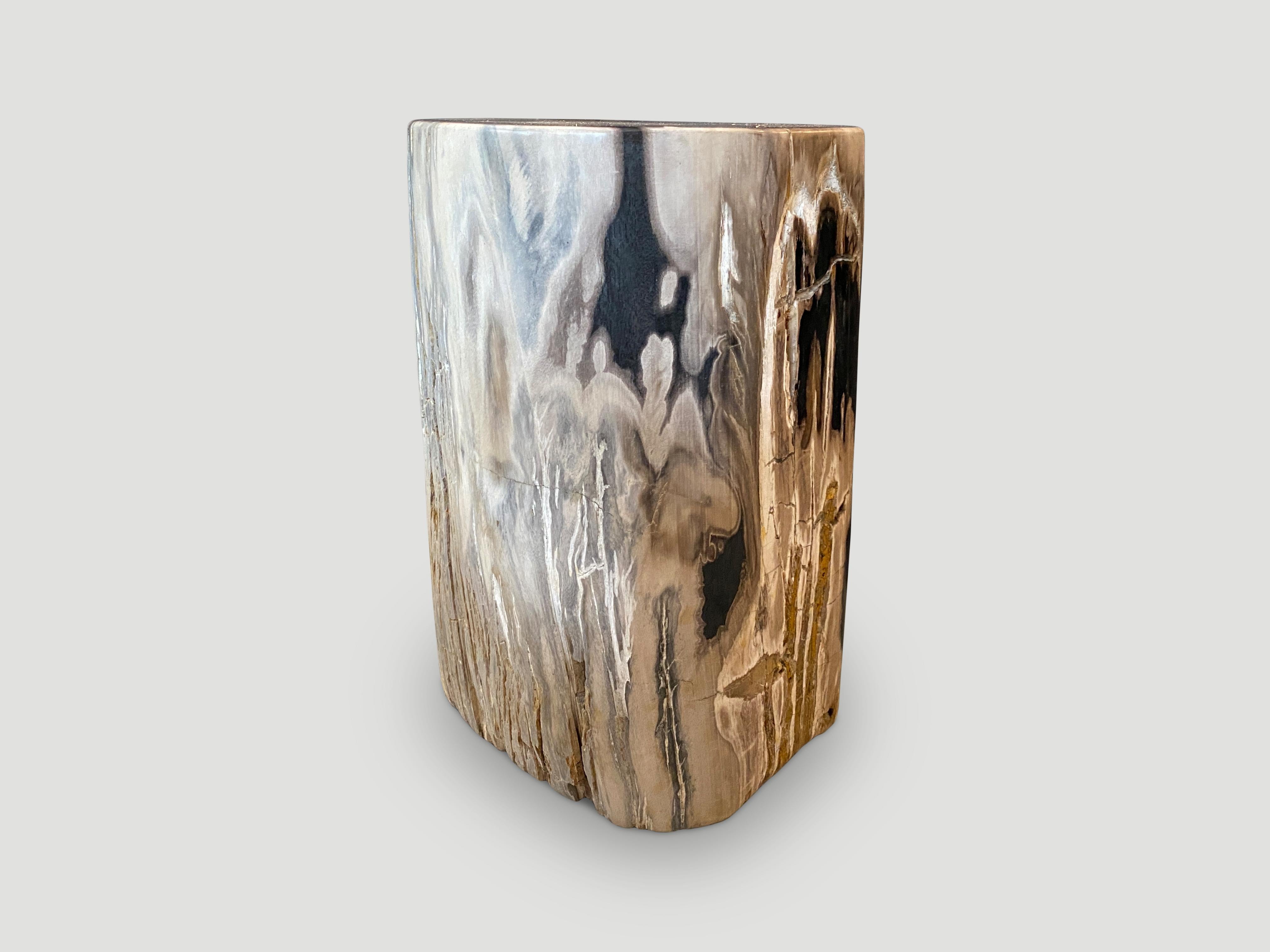 Contemporary Andrianna Shamaris High Quality Petrified Wood Side Table