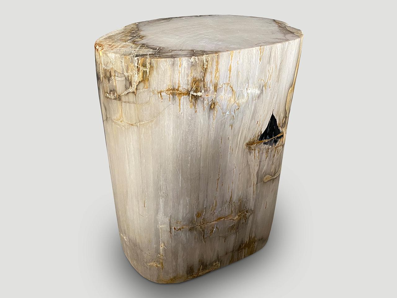 Contemporary Andrianna Shamaris High Quality Petrified Wood Side Table For Sale