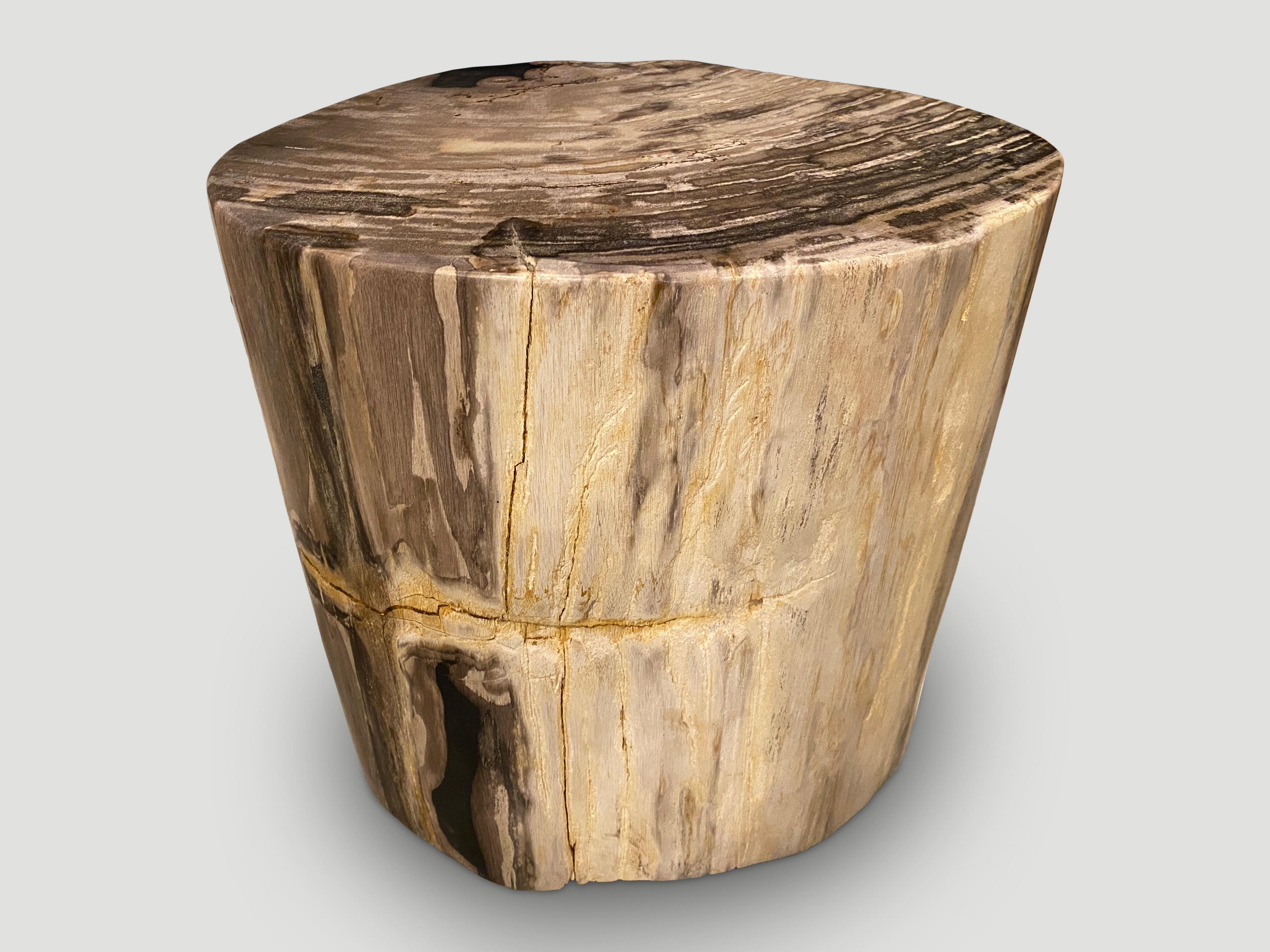 18th Century and Earlier Andrianna Shamaris High Quality Petrified Wood Side Table For Sale
