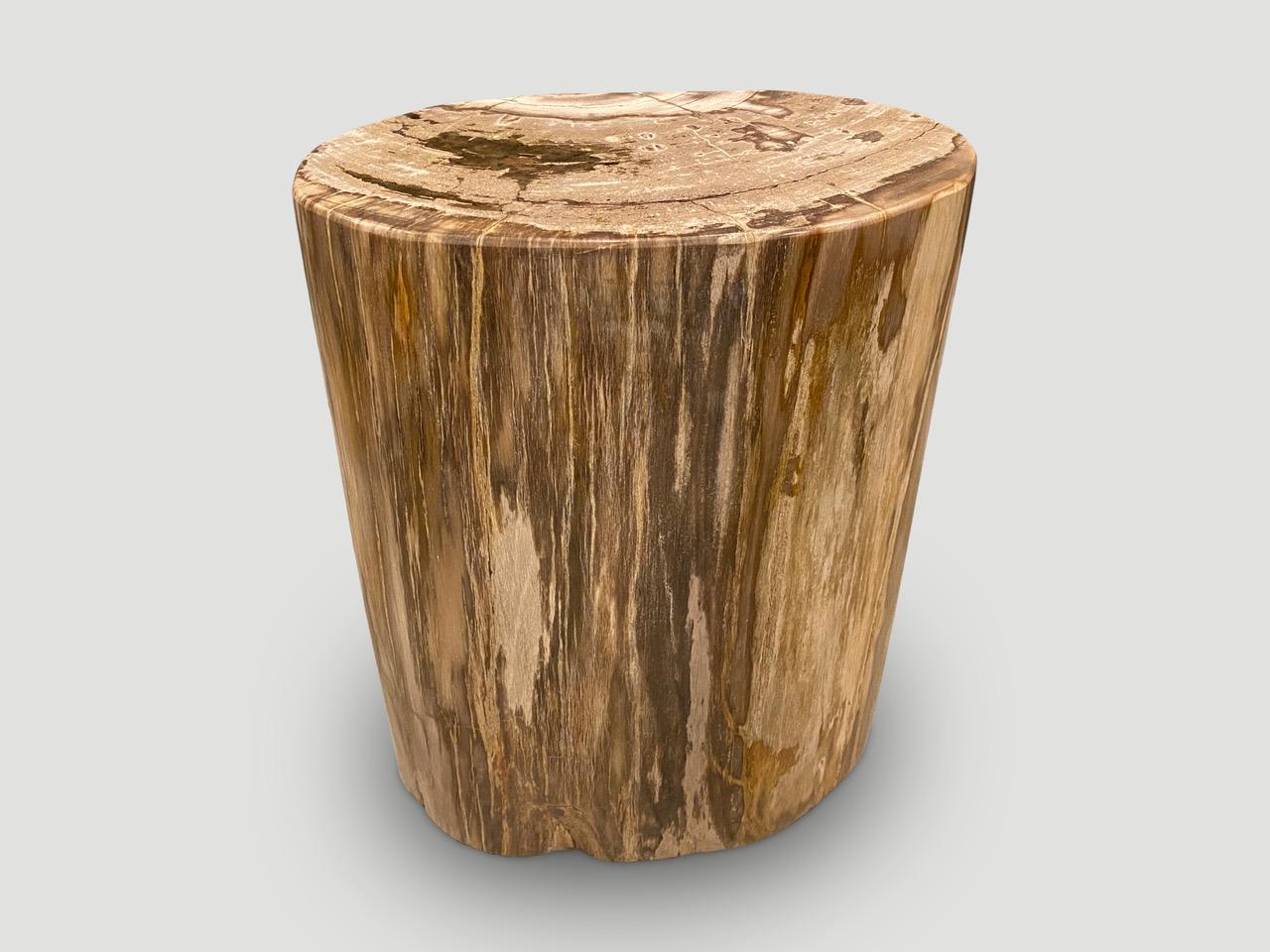 18th Century and Earlier Andrianna Shamaris High Quality Petrified Wood Side Table For Sale