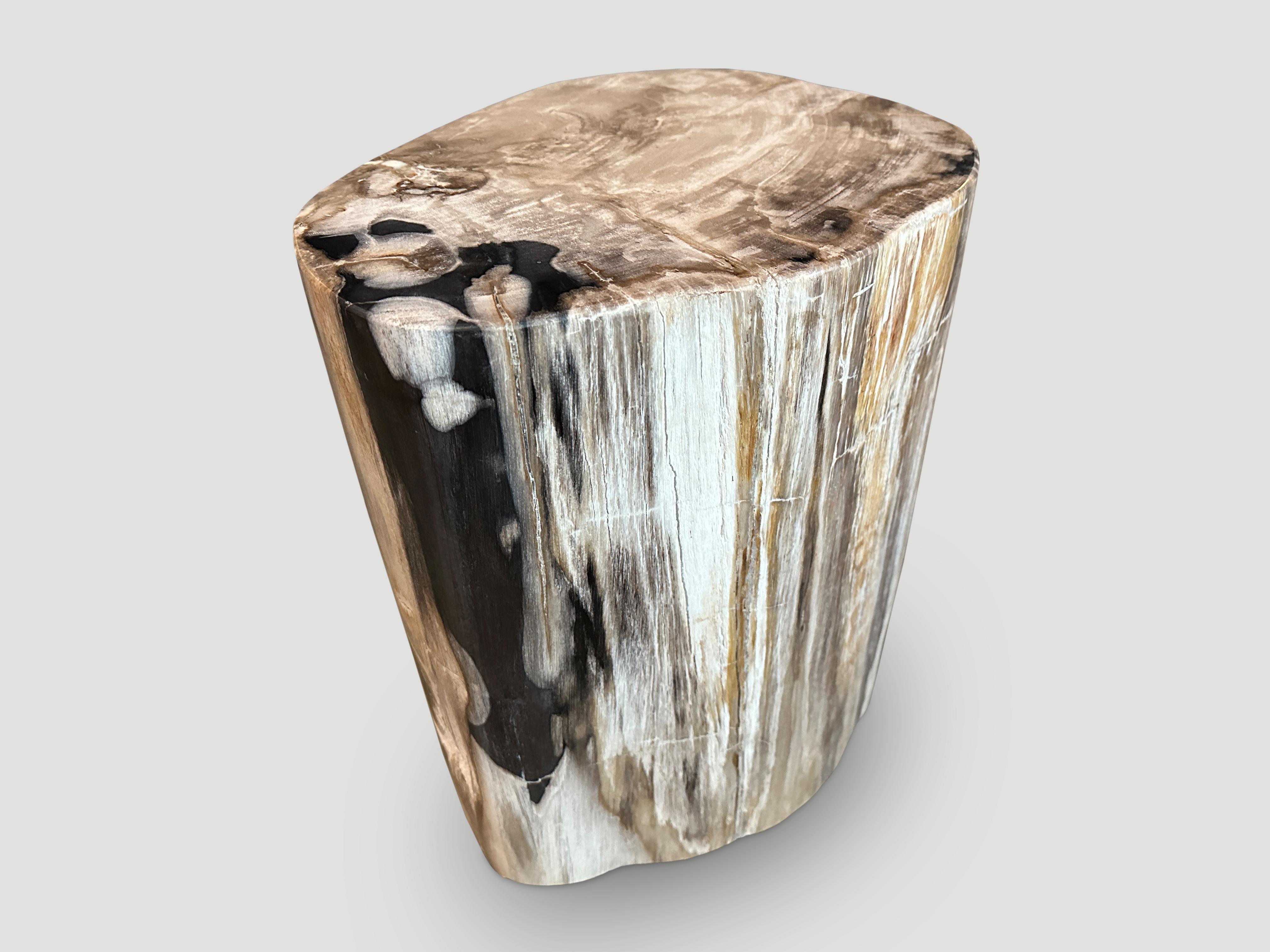Andrianna Shamaris: Beistelltisch aus versteinertem Holz in hoher Qualitt (21. Jahrhundert und zeitgenössisch) im Angebot