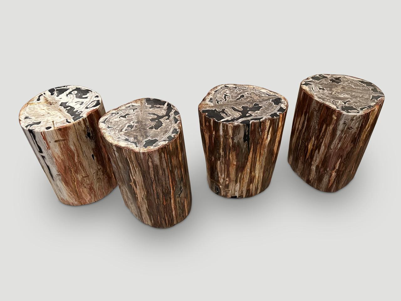 Contemporary Andrianna Shamaris High Quality Petrified Wood Side Table