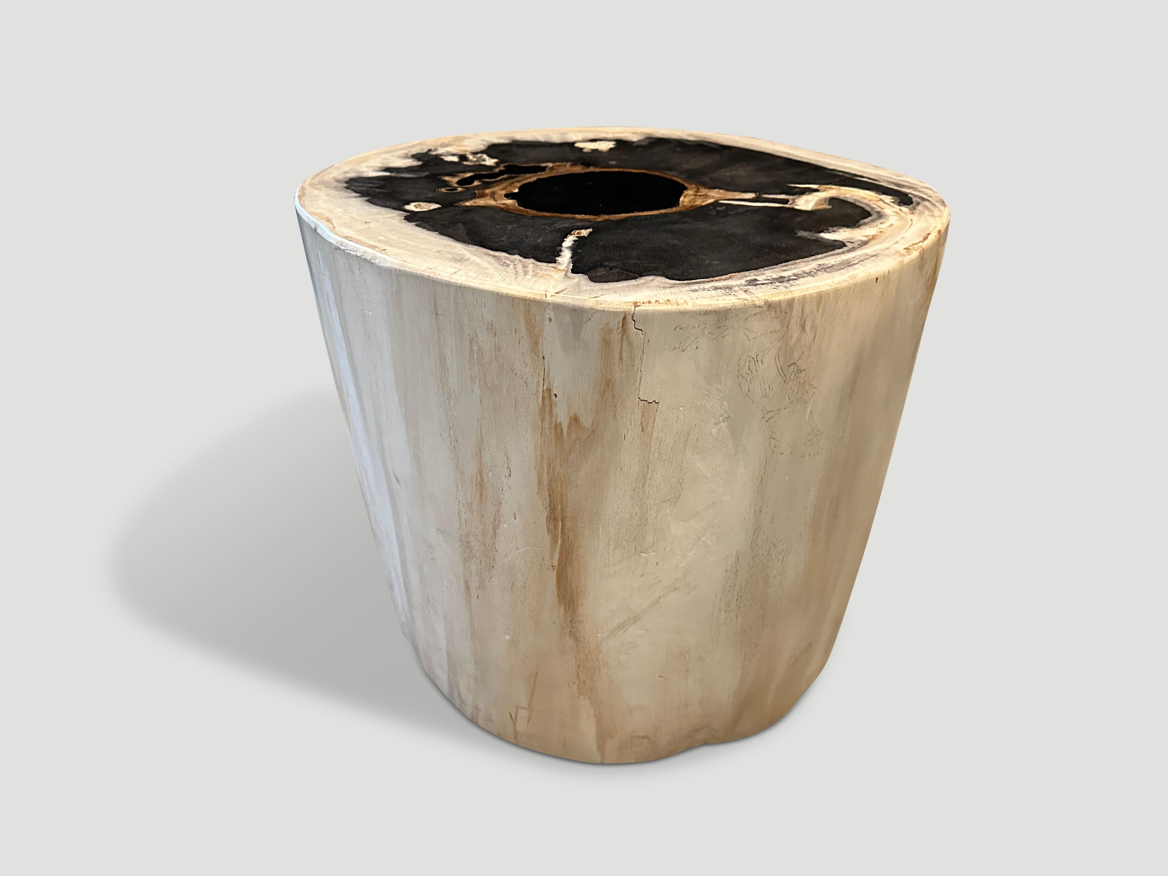 Contemporary Andrianna Shamaris High Quality Petrified Wood Side Table  For Sale