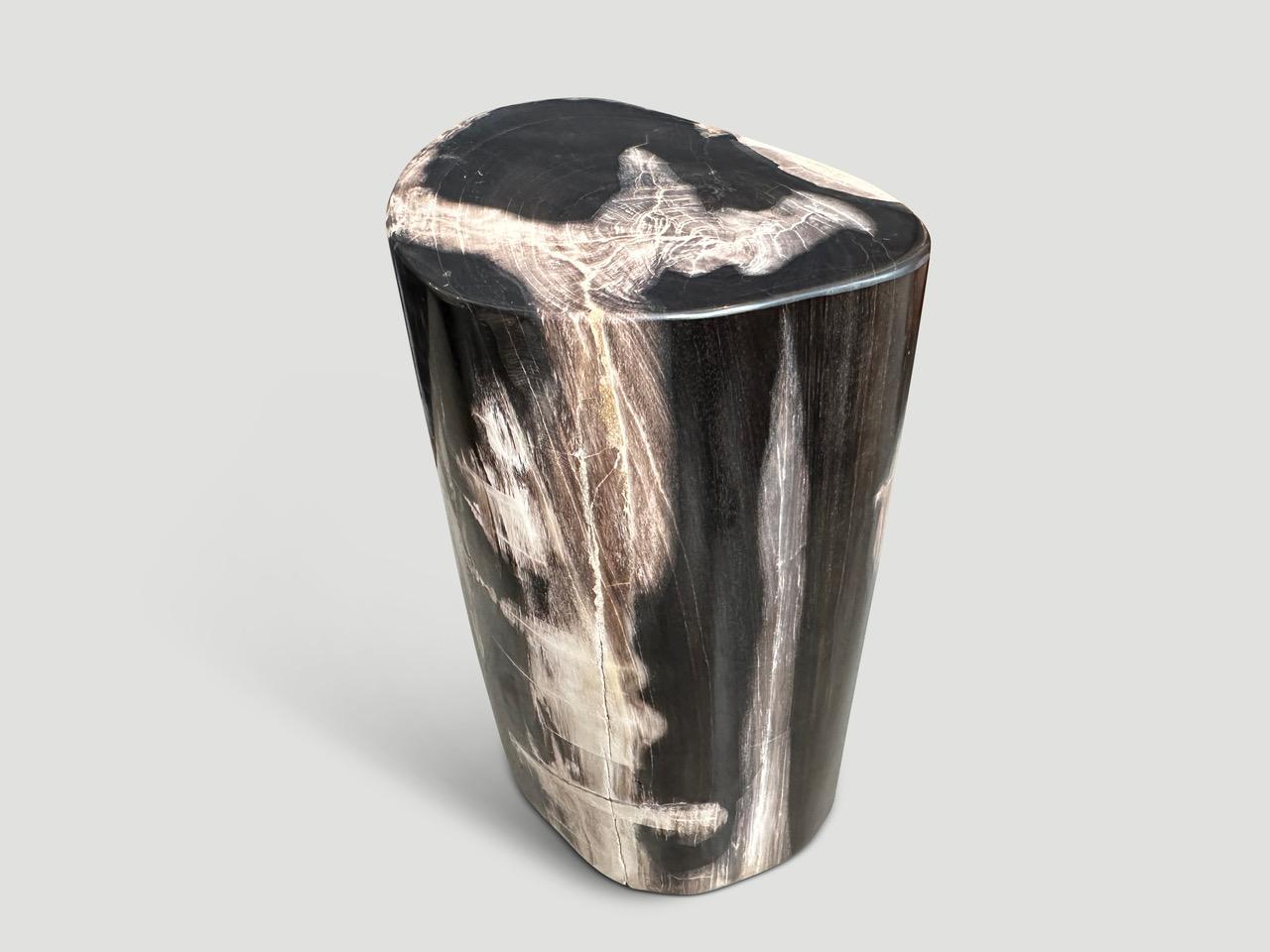 Contemporary Andrianna Shamaris High Quality Petrified Wood Side Table