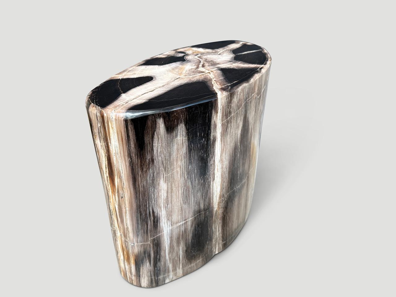Contemporary Andrianna Shamaris High Quality Petrified Wood Side Table
