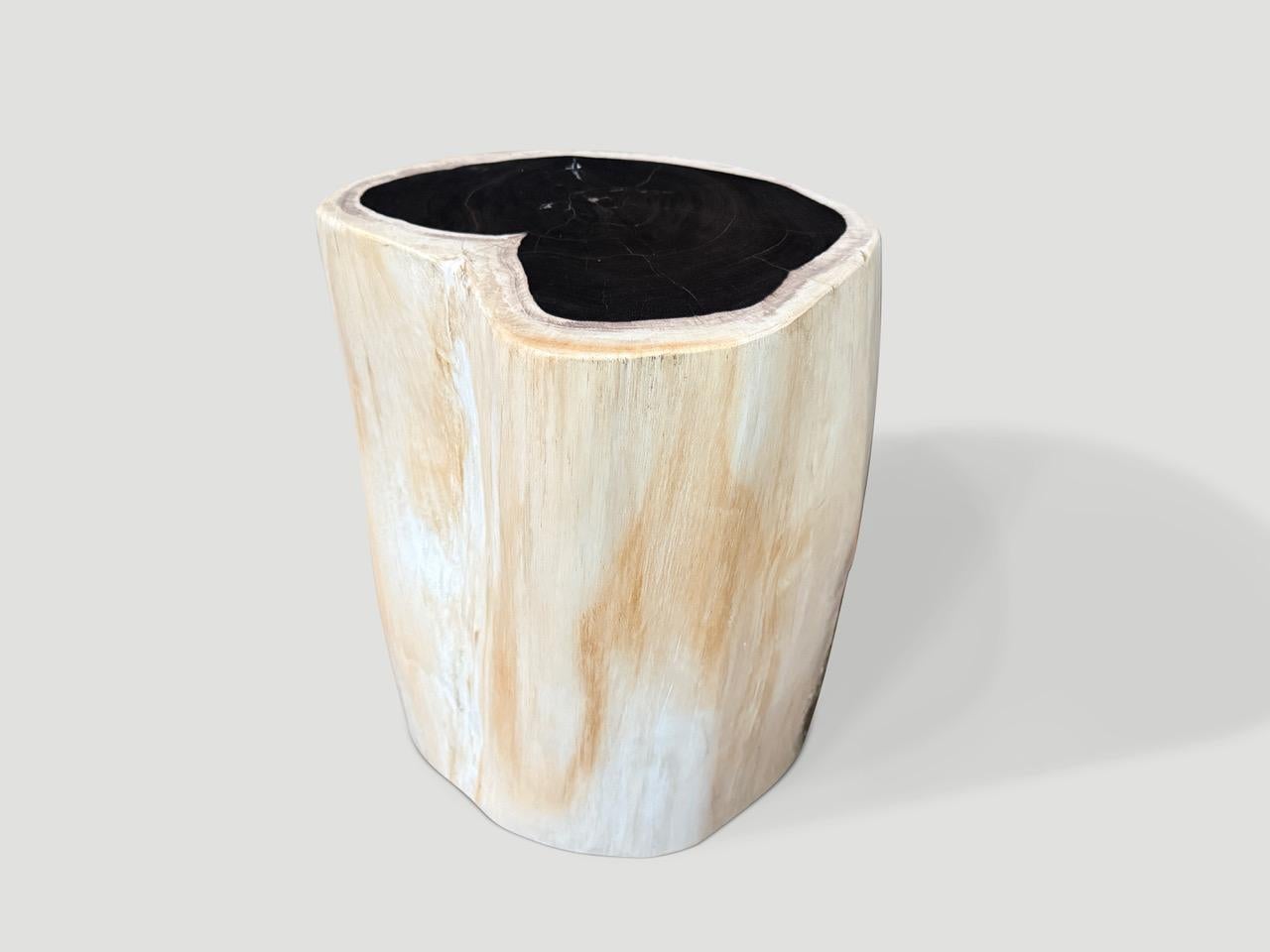 Contemporary Andrianna Shamaris High Quality Petrified Wood Side Table For Sale