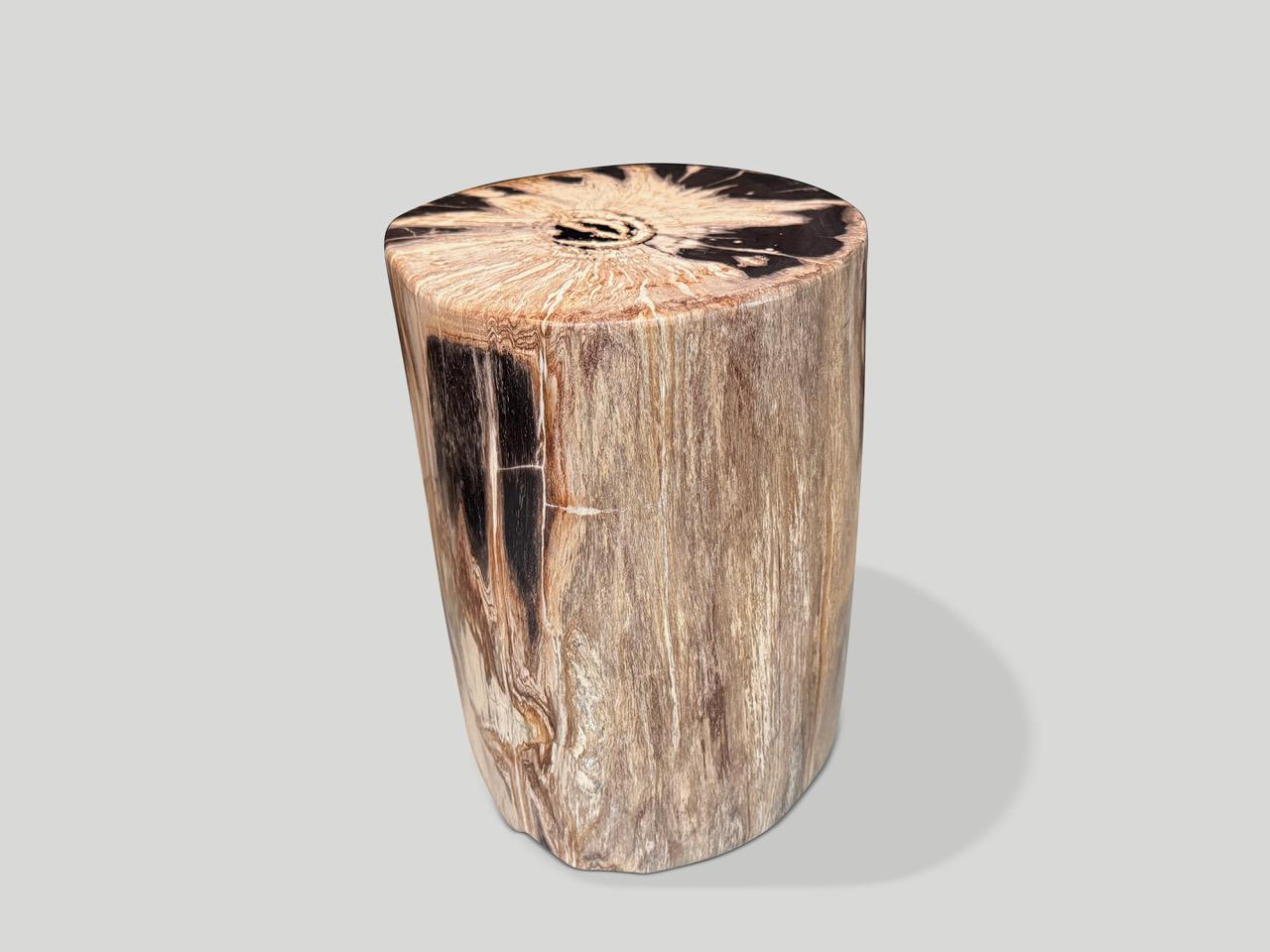 Contemporary Andrianna Shamaris High Quality Petrified Wood Side Table For Sale