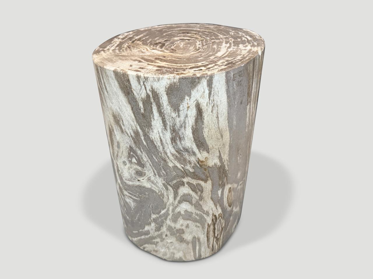 XXIe siècle et contemporain Andrianna Shamaris table d'appoint en bois pétrifié de haute qualité en vente