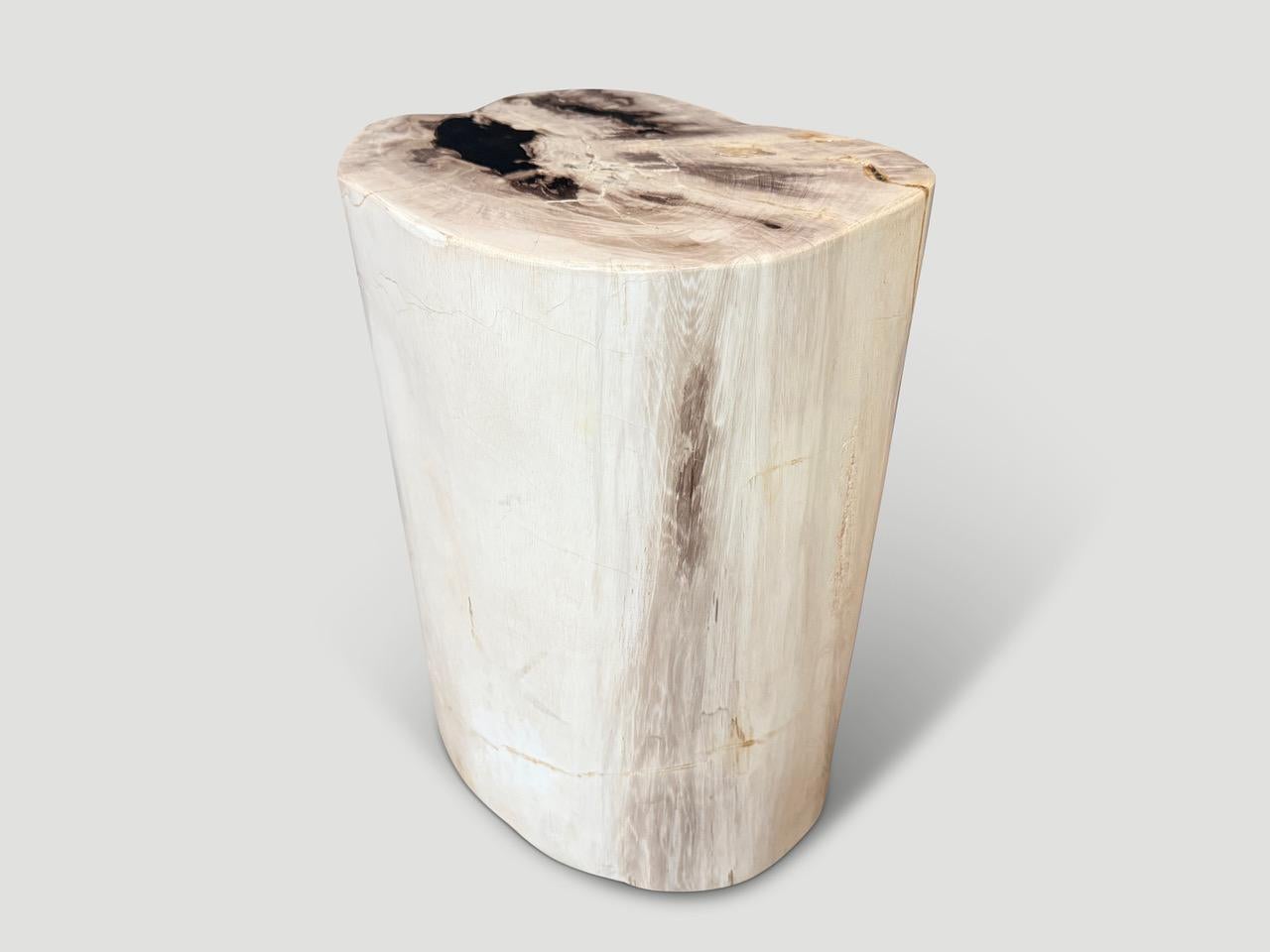 XXIe siècle et contemporain Andrianna Shamaris table d'appoint en bois pétrifié de haute qualité en vente