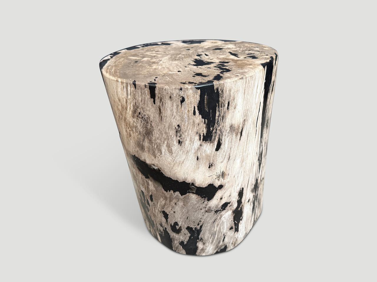 Contemporary Andrianna Shamaris High Quality Petrified Wood Side Table For Sale