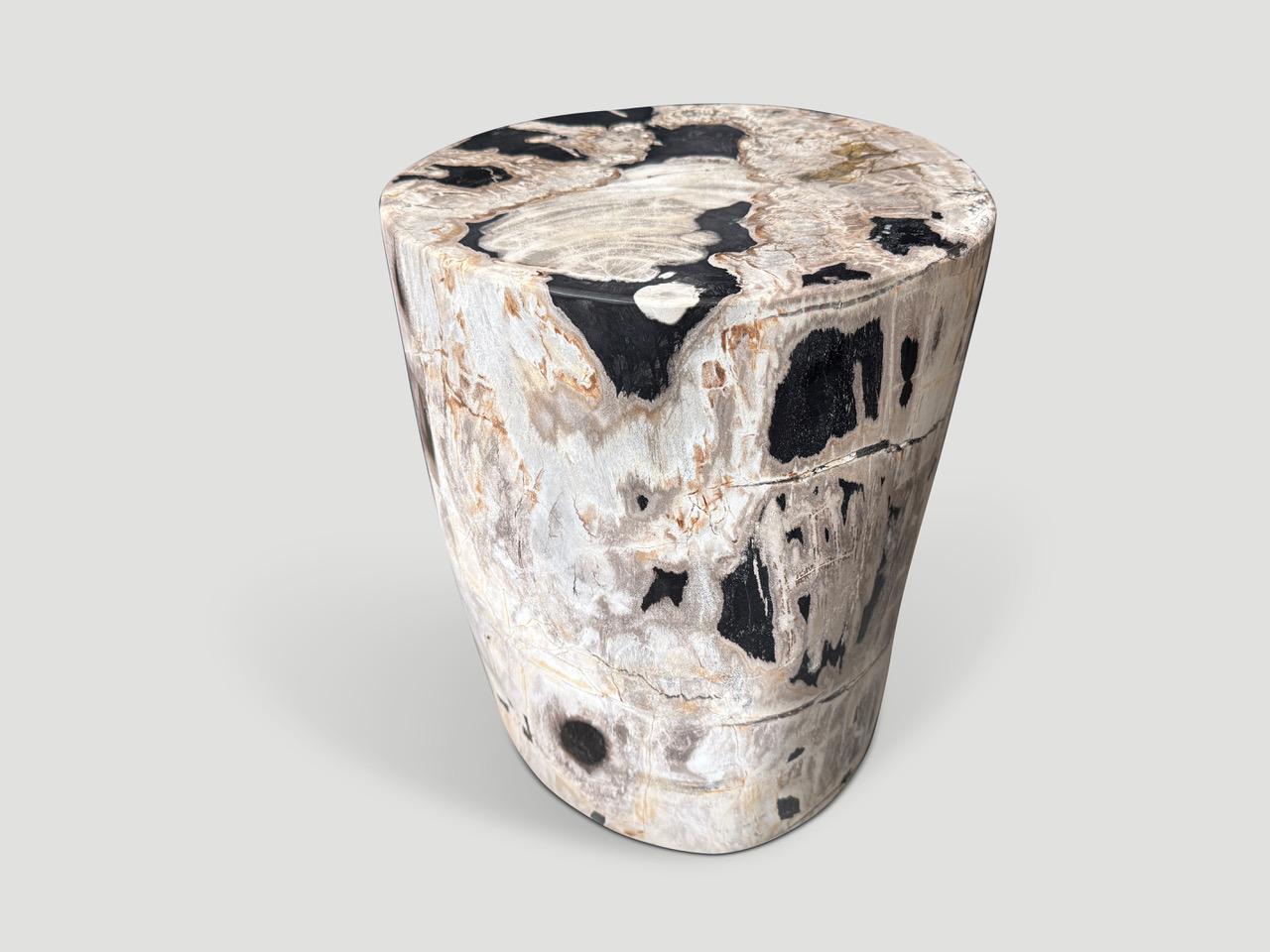 XXIe siècle et contemporain Andrianna Shamaris table d'appoint en bois pétrifié de haute qualité en vente