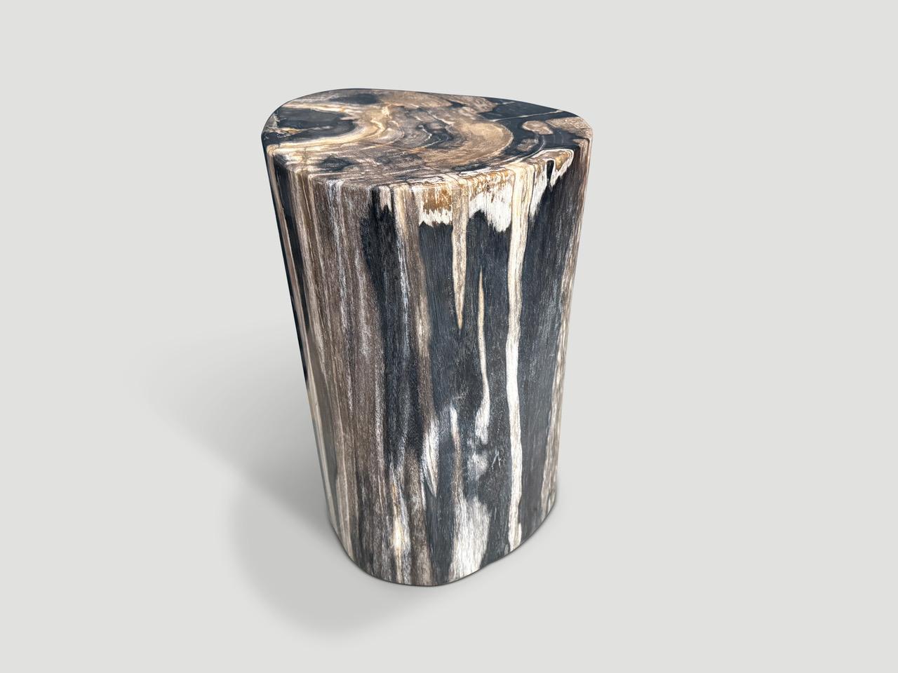 Contemporary Andrianna Shamaris High Quality Petrified Wood Side Table For Sale