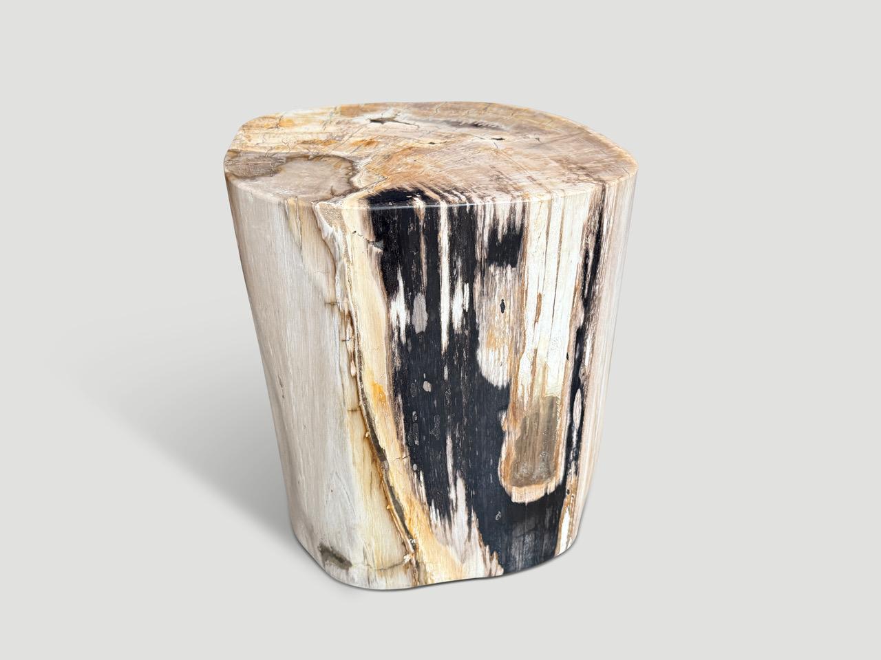 Contemporary Andrianna Shamaris High Quality Petrified Wood Side Table For Sale