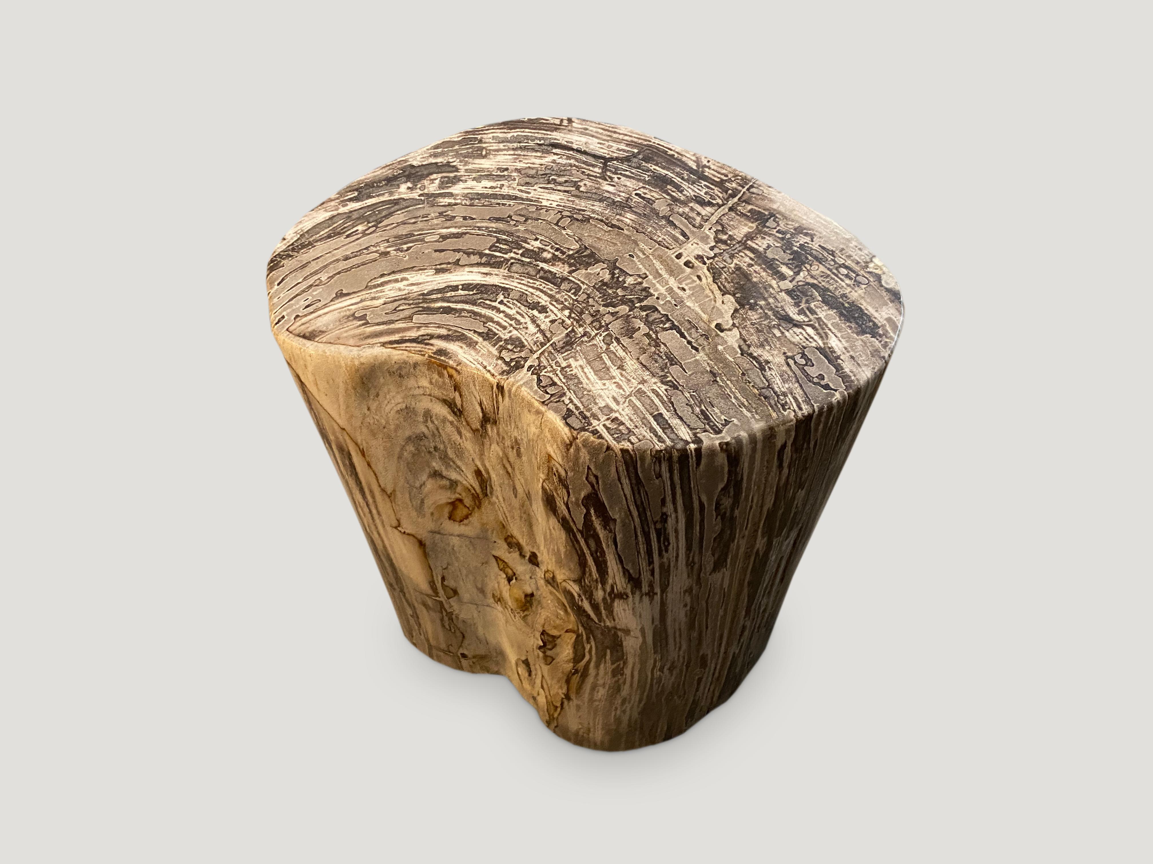 Reclaimed Wood Andrianna Shamaris High Quality Petrified Wood Side Table
