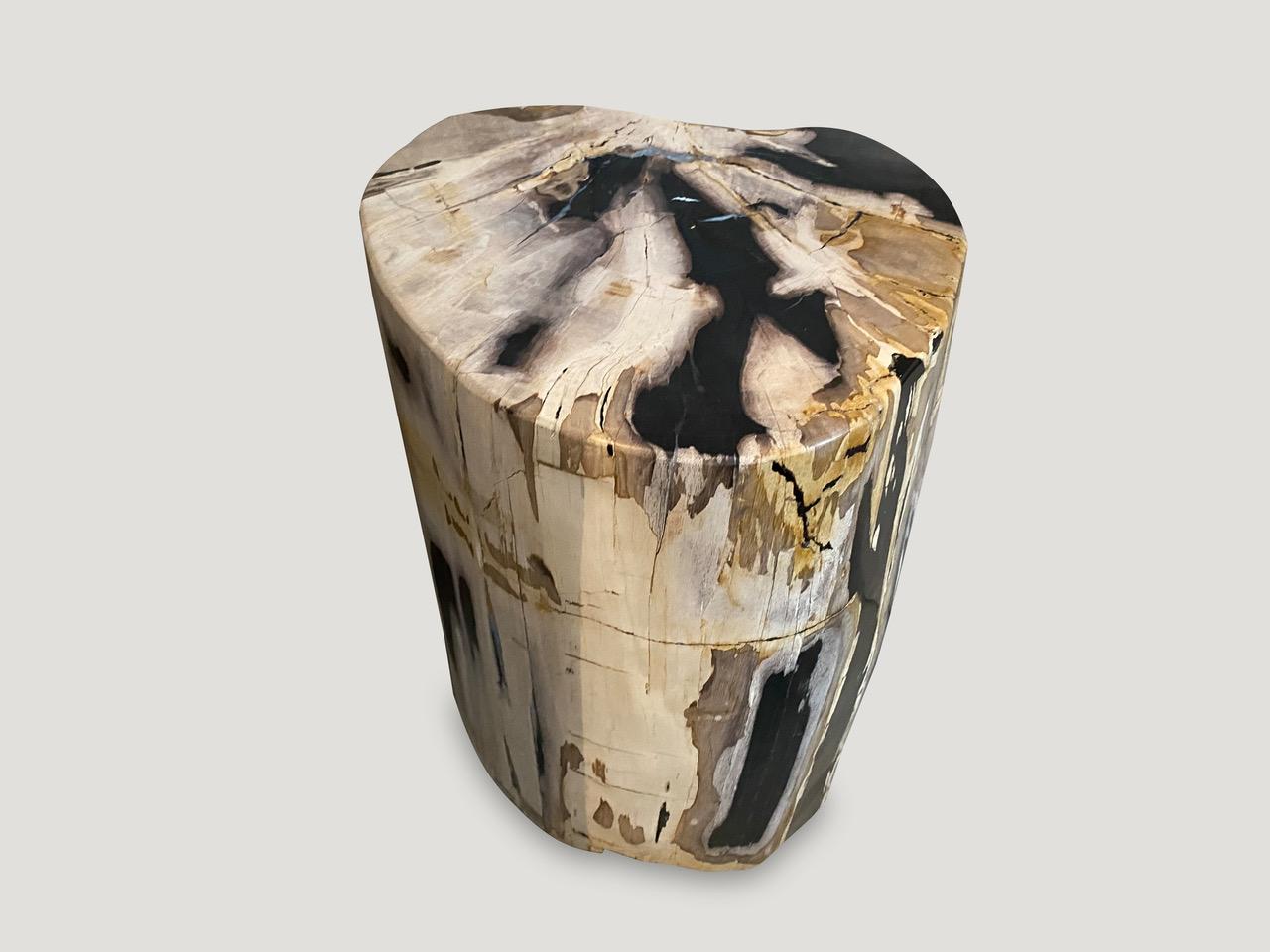 Andrianna Shamaris High Quality Petrified Wood Side Table 1