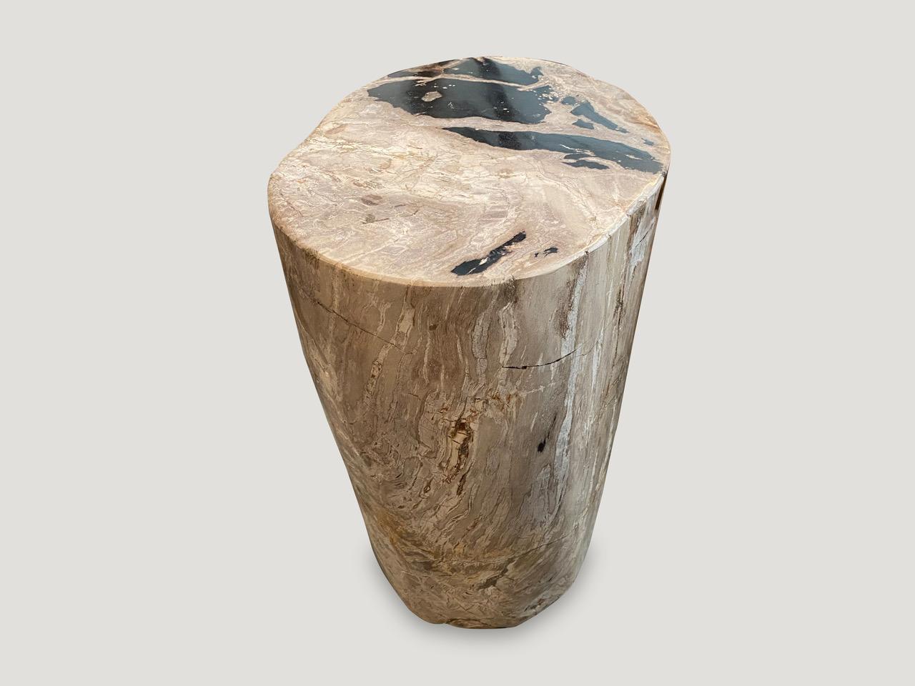 Andrianna Shamaris High Quality Petrified Wood Side Table 1