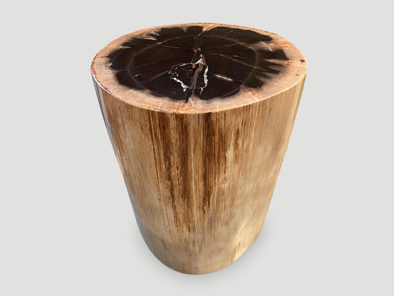 Organic Modern High Quality Petrified Wood Side Table For Sale