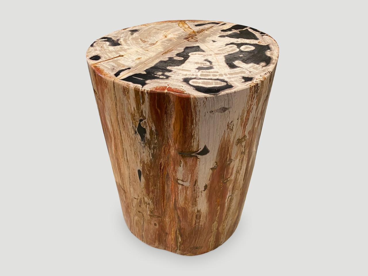 Andrianna Shamaris High Quality Petrified Wood Side Table 1