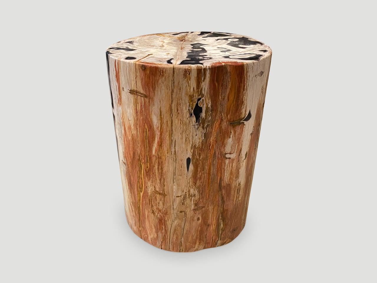 Andrianna Shamaris High Quality Petrified Wood Side Table For Sale 1