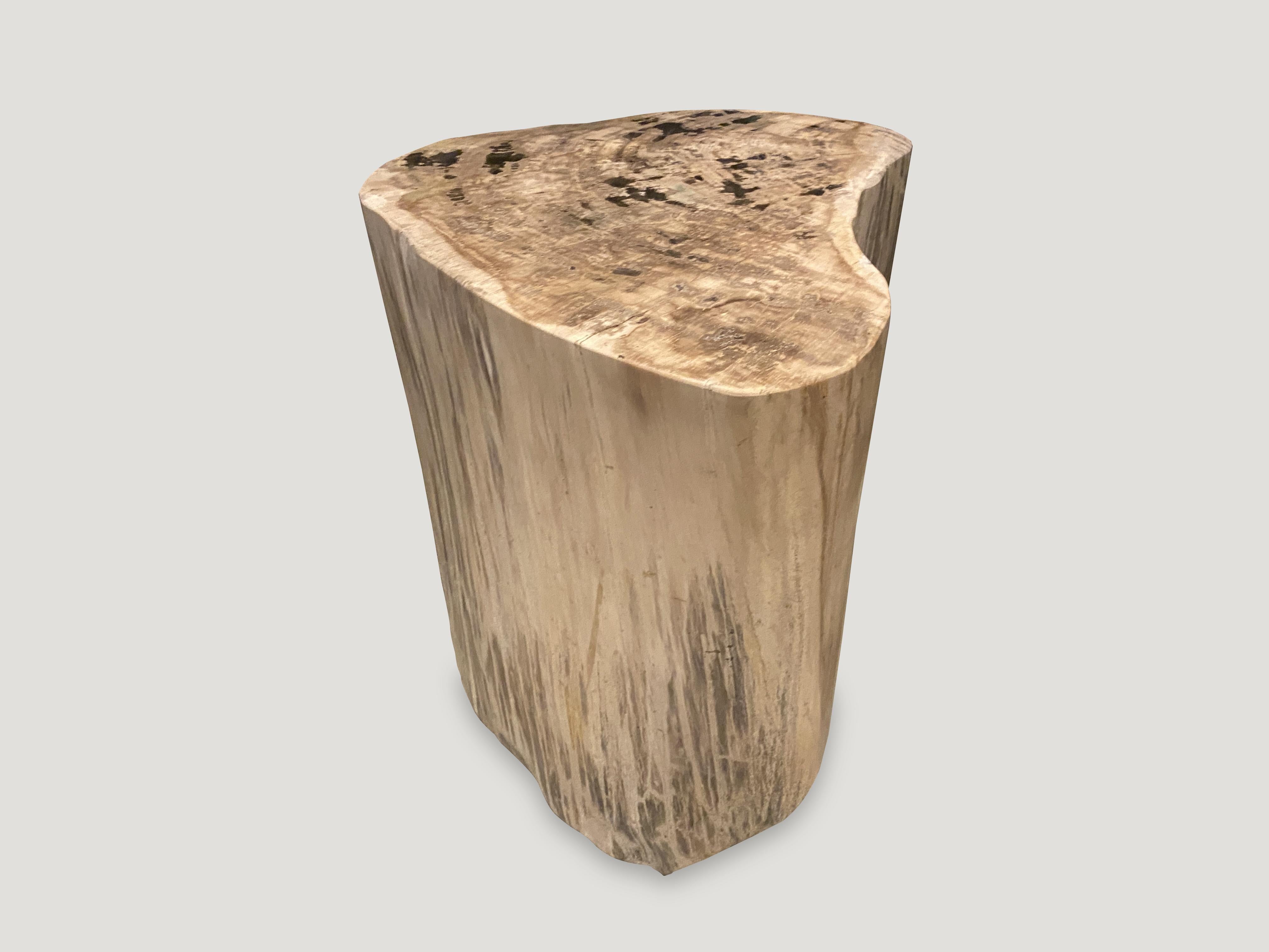 Andrianna Shamaris High Quality Petrified Wood Side Table For Sale 1