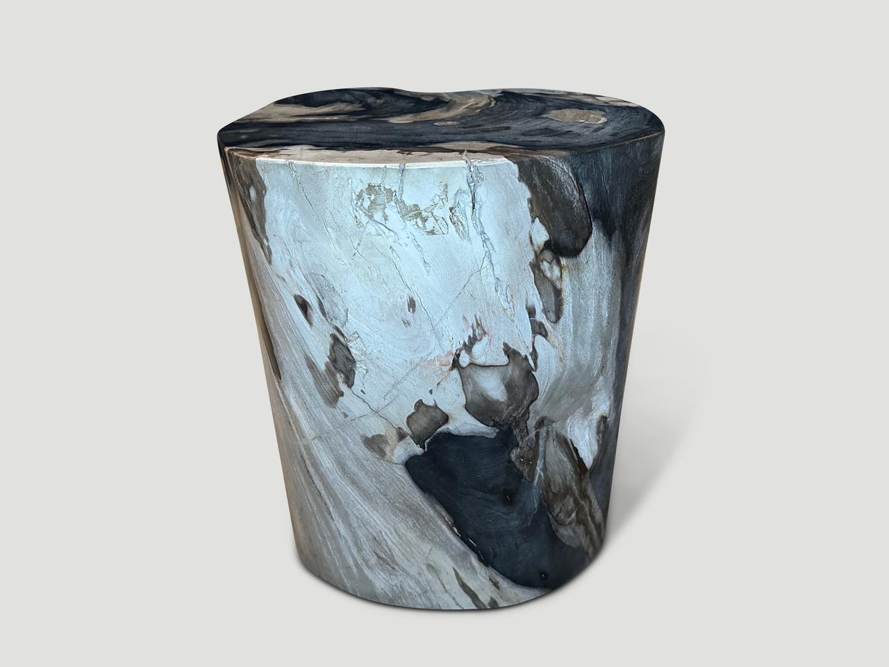 Contemporary Andrianna Shamaris High Quality Petrified Wood Side Table  For Sale