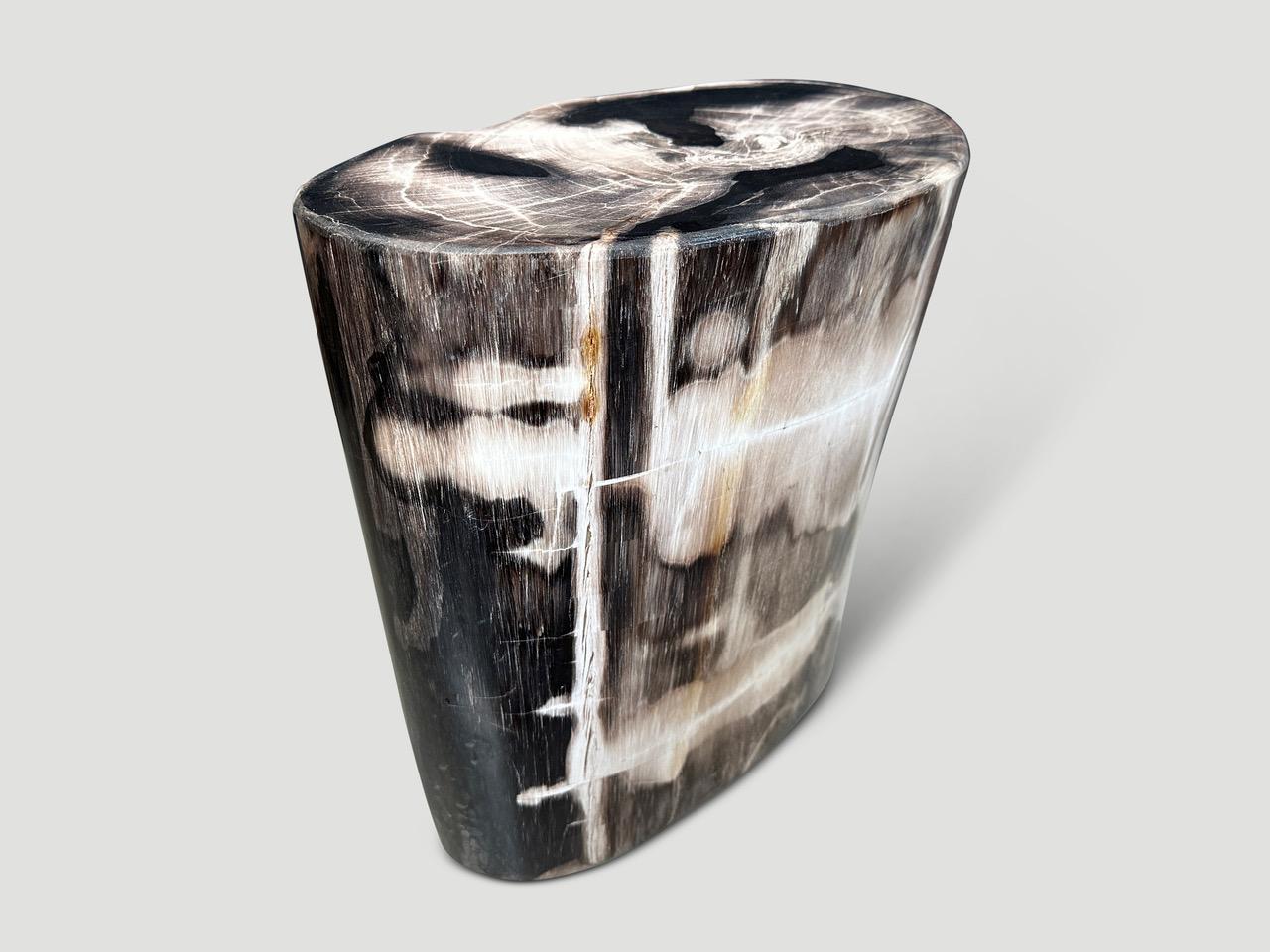Andrianna Shamaris High Quality Petrified Wood Side Table 1