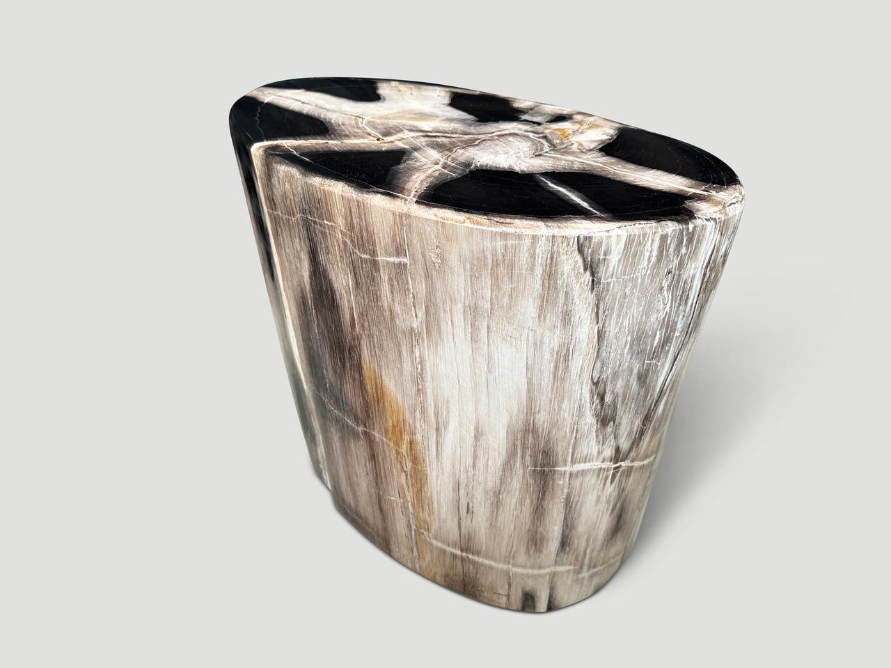 Andrianna Shamaris High Quality Petrified Wood Side Table 1