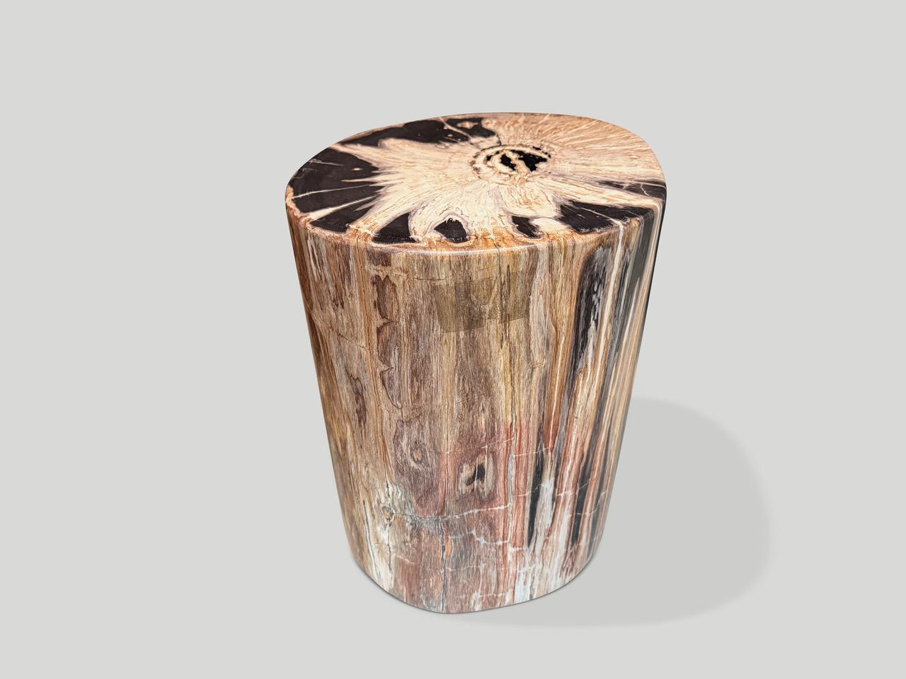 Andrianna Shamaris High Quality Petrified Wood Side Table For Sale 1