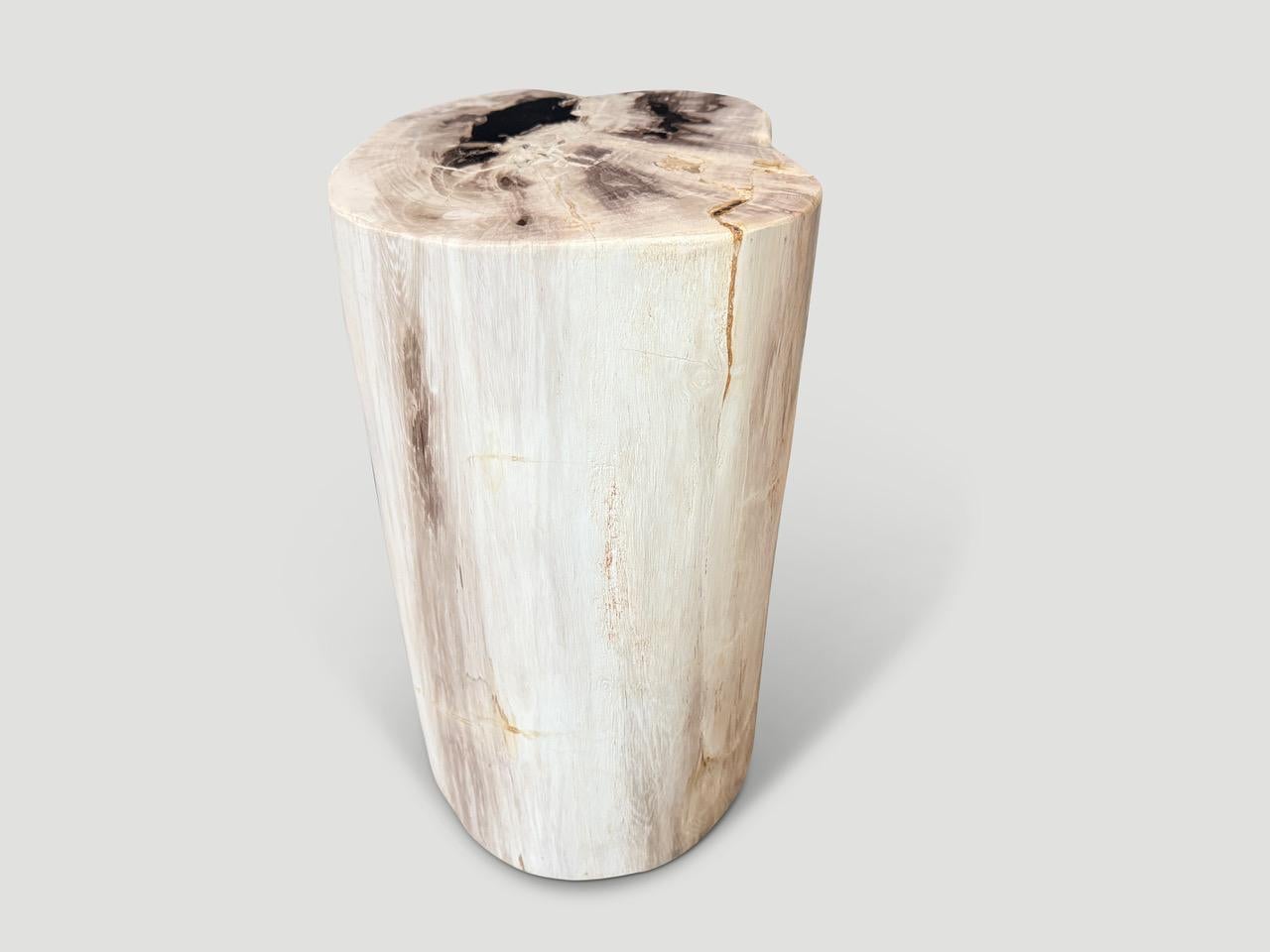 Bois Andrianna Shamaris table d'appoint en bois pétrifié de haute qualité en vente