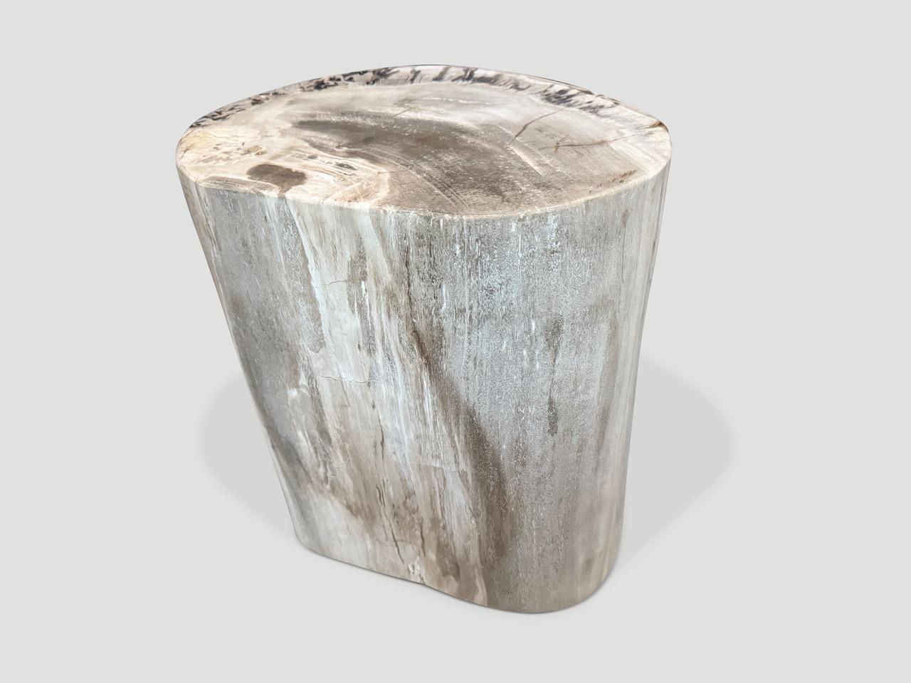 Andrianna Shamaris Mesa auxiliar de madera petrificada de alta calidad Madera en venta