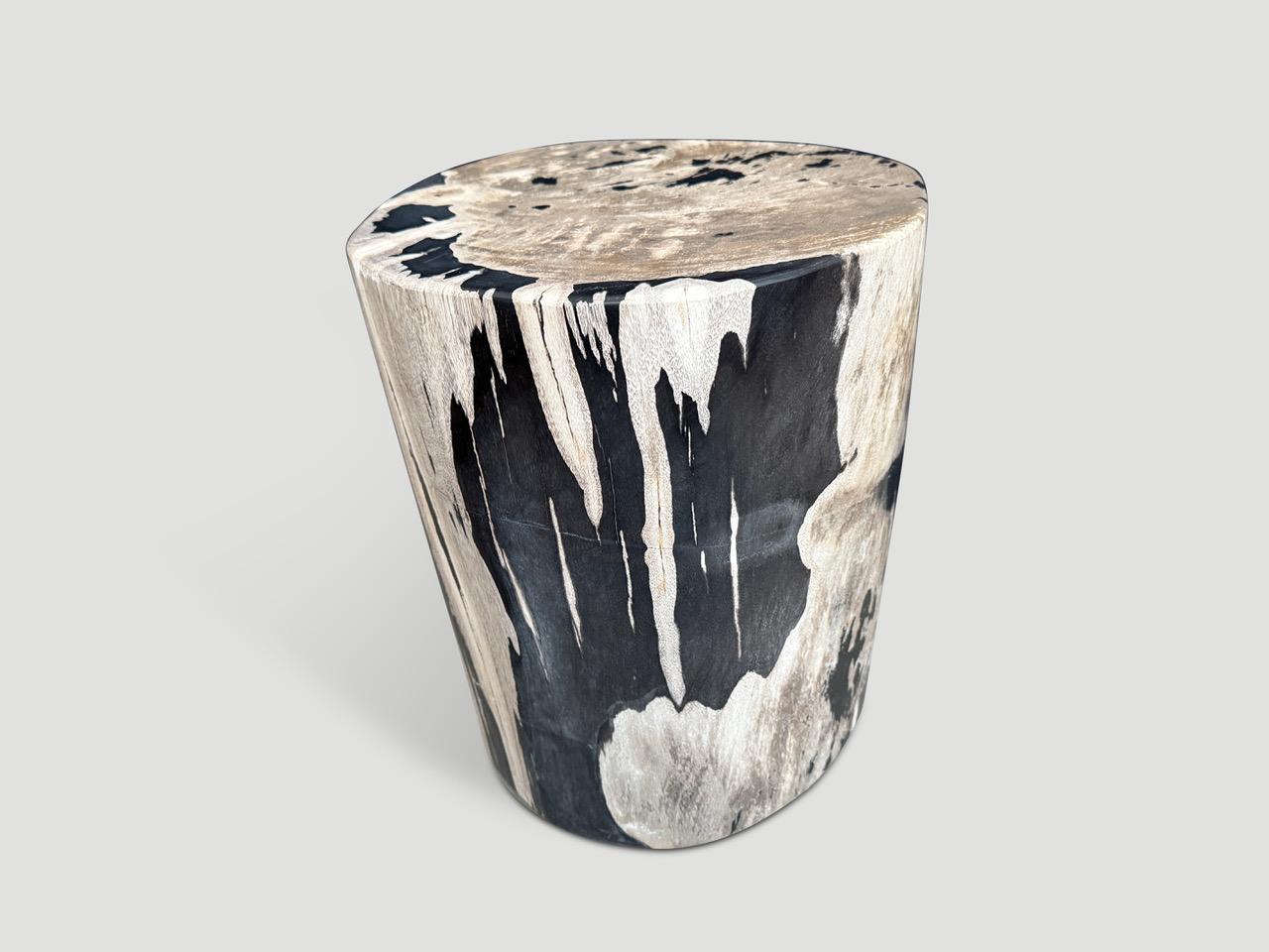 Andrianna Shamaris High Quality Petrified Wood Side Table For Sale 1