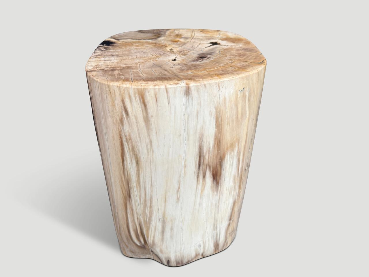Andrianna Shamaris High Quality Petrified Wood Side Table For Sale 1