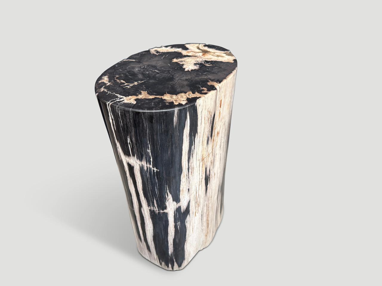 Andrianna Shamaris Mesa auxiliar de madera petrificada de alta calidad Madera en venta