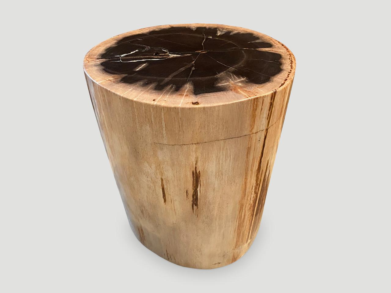 High Quality Petrified Wood Side Table In Excellent Condition For Sale In New York, NY