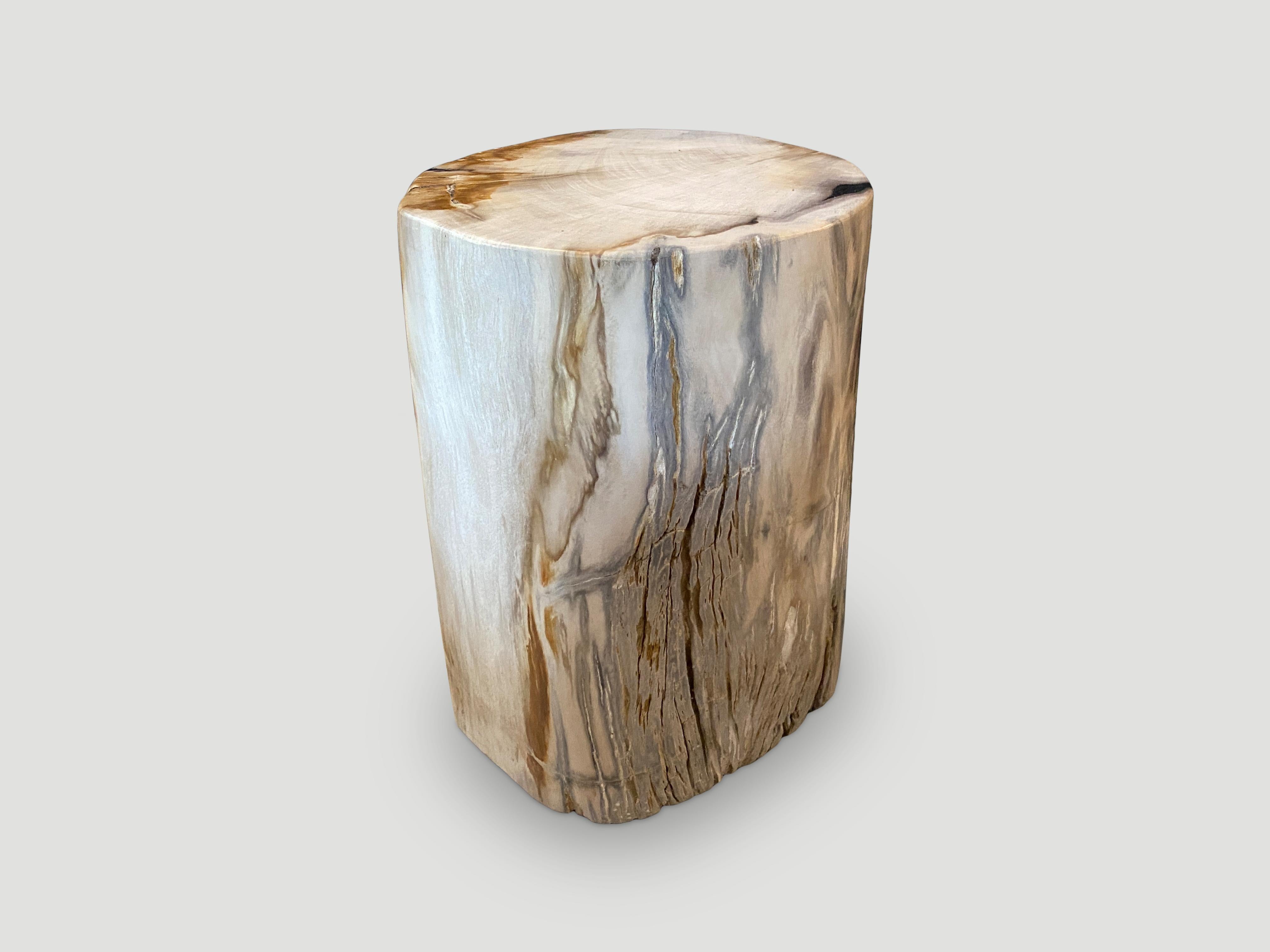 Andrianna Shamaris High Quality Petrified Wood Side Table 2